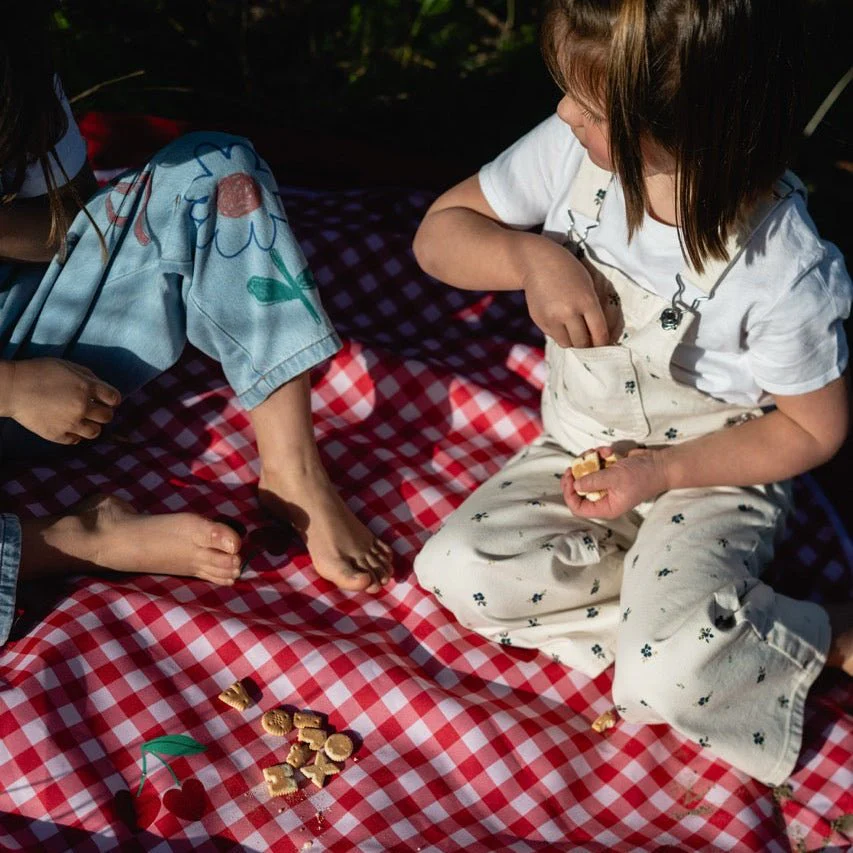 3-in-1 outdoor speelkleed & opbergzak - Pic nic - Image 3