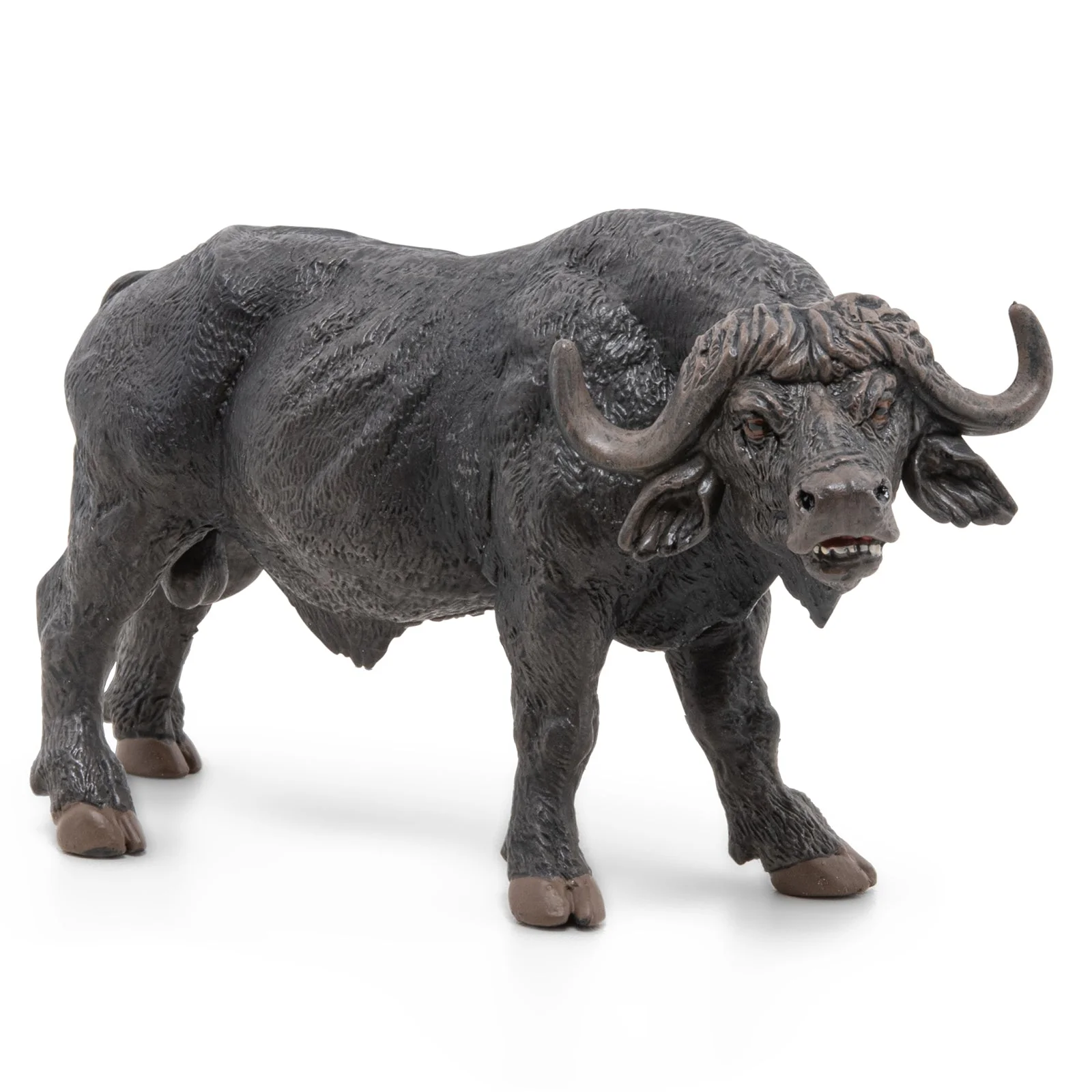 Afrikaanse Buffel