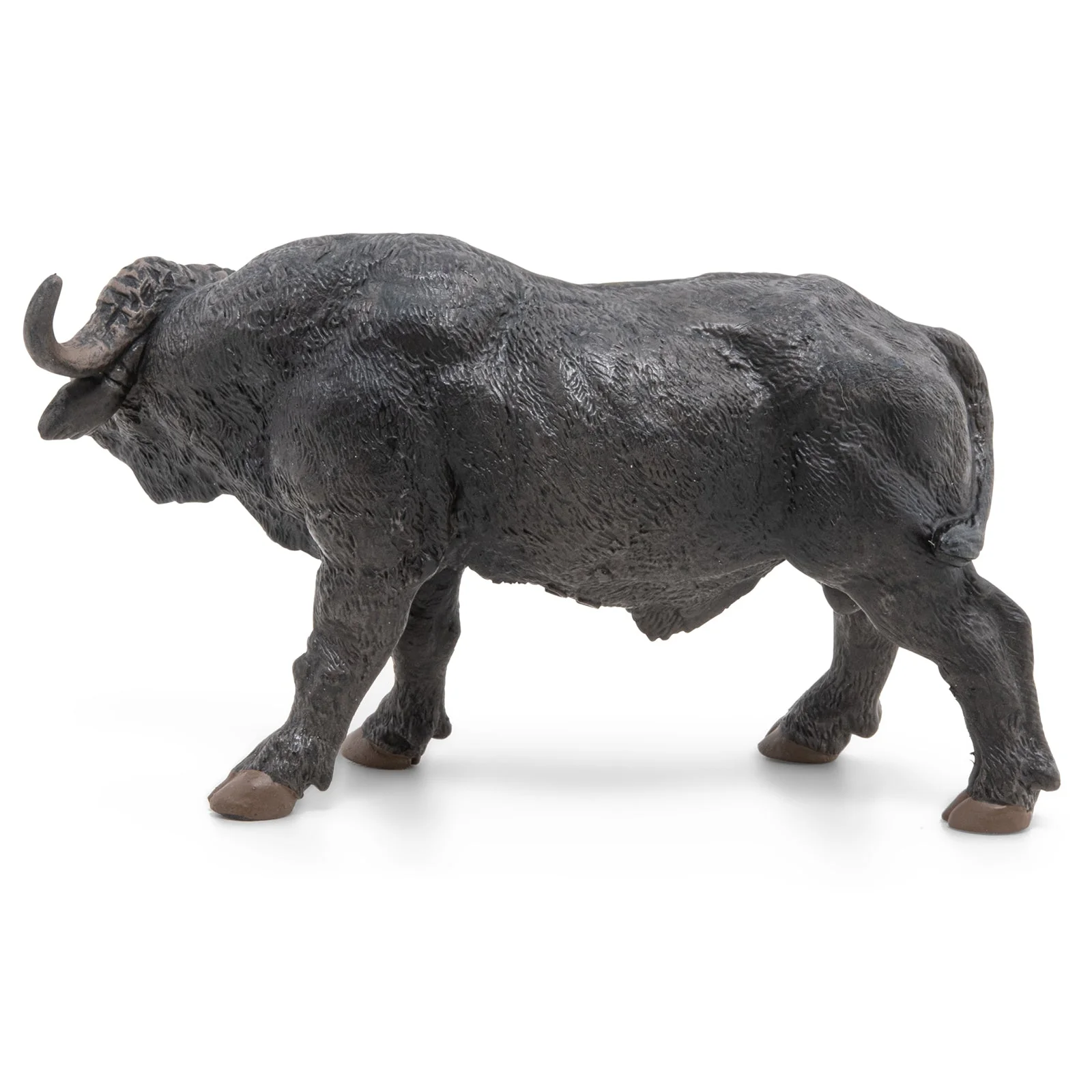 Afrikaanse Buffel - Image 3