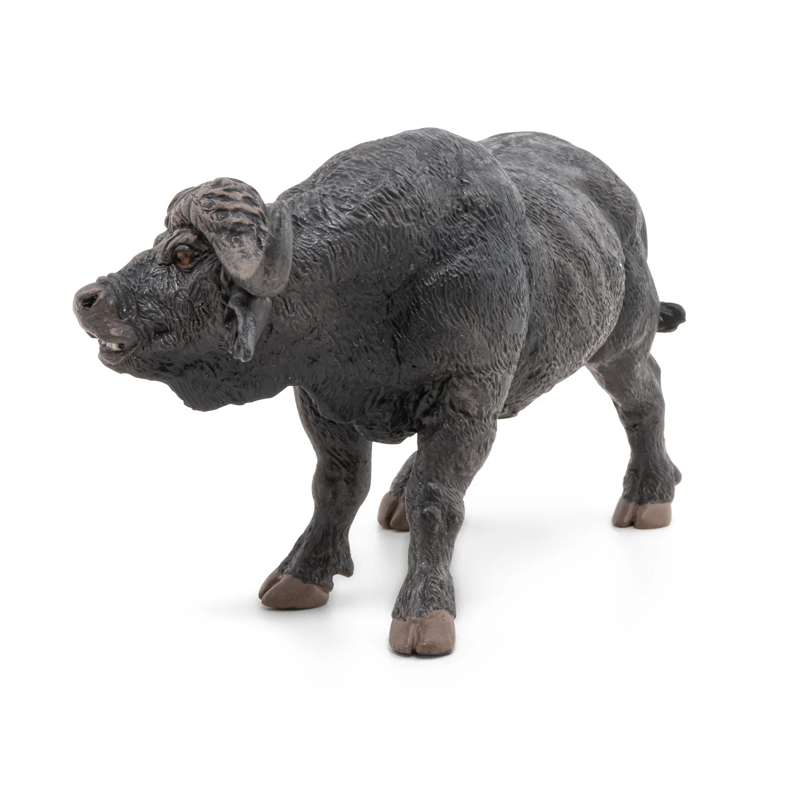 Afrikaanse Buffel - Image 5