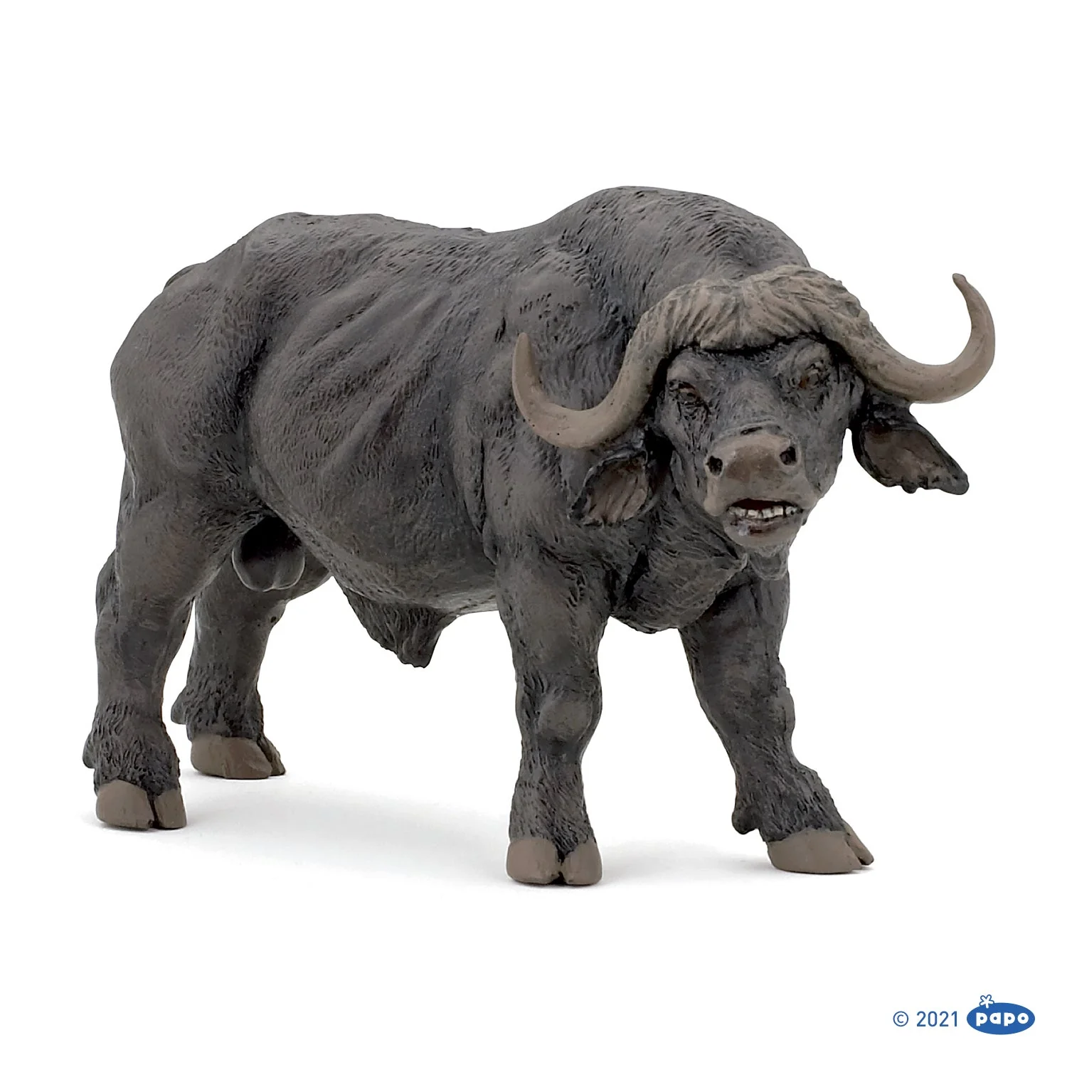 Afrikaanse Buffel - Image 6