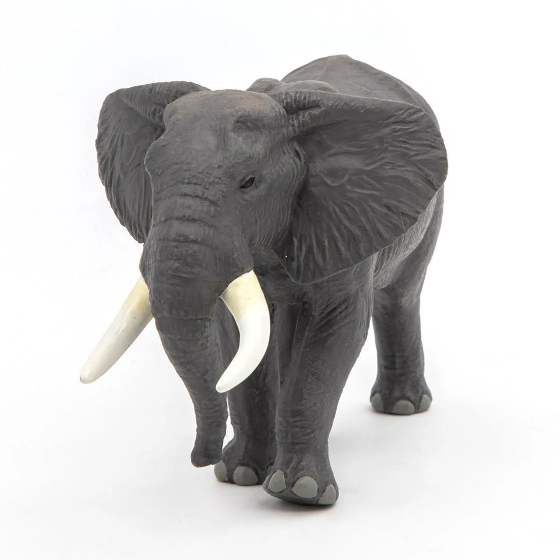 Afrikaanse Olifant - Image 2