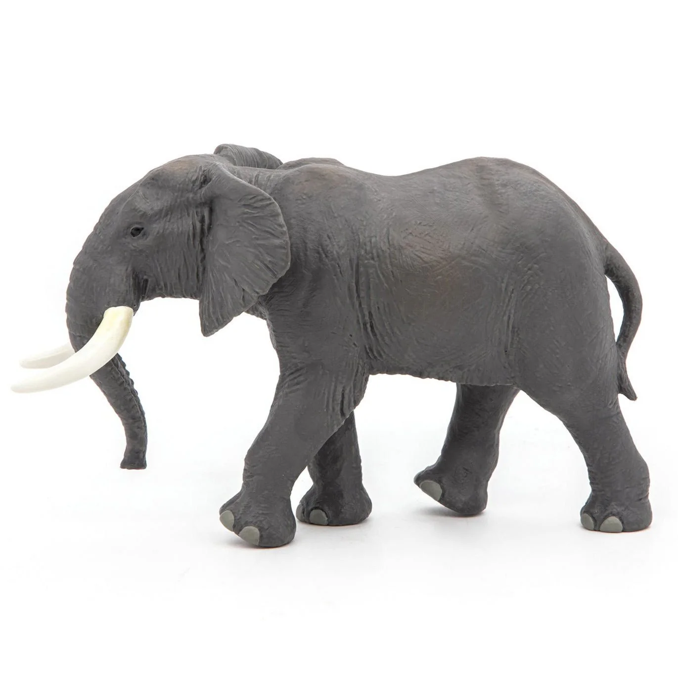 Afrikaanse Olifant - Image 3