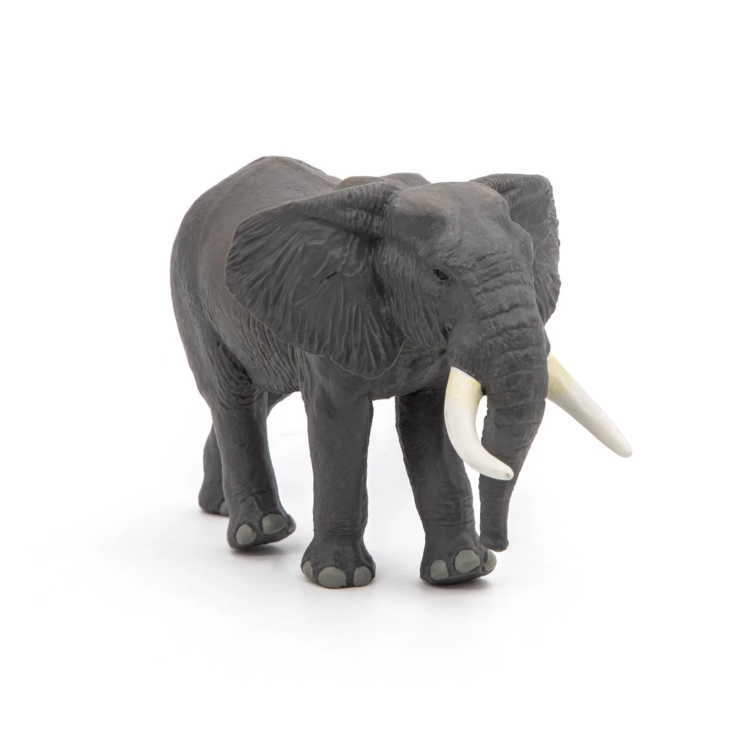 Afrikaanse Olifant - Image 7