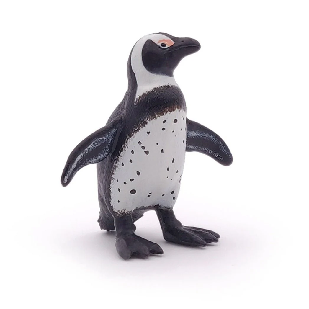 Afrikaanse Pinguin