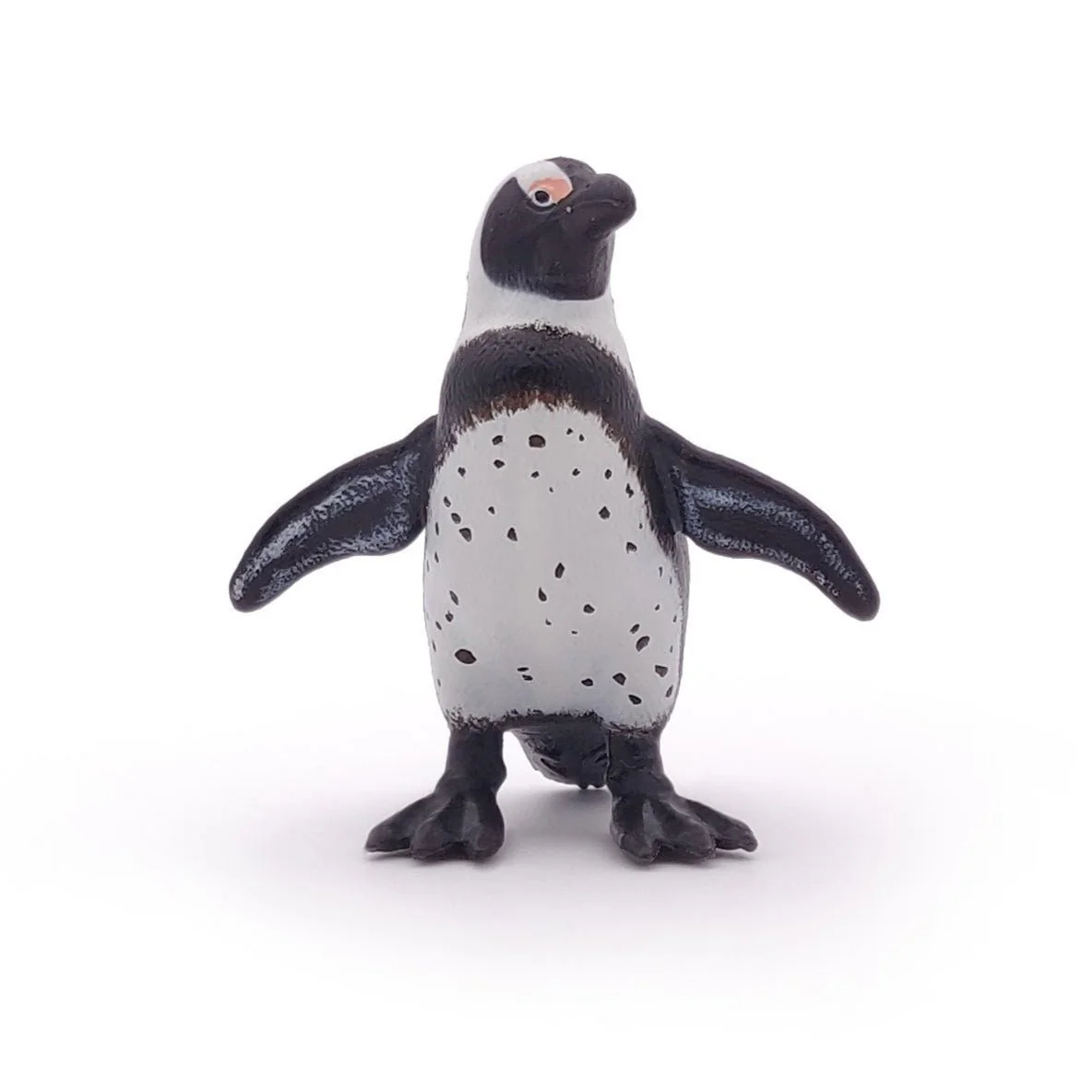 Afrikaanse Pinguin - Image 3