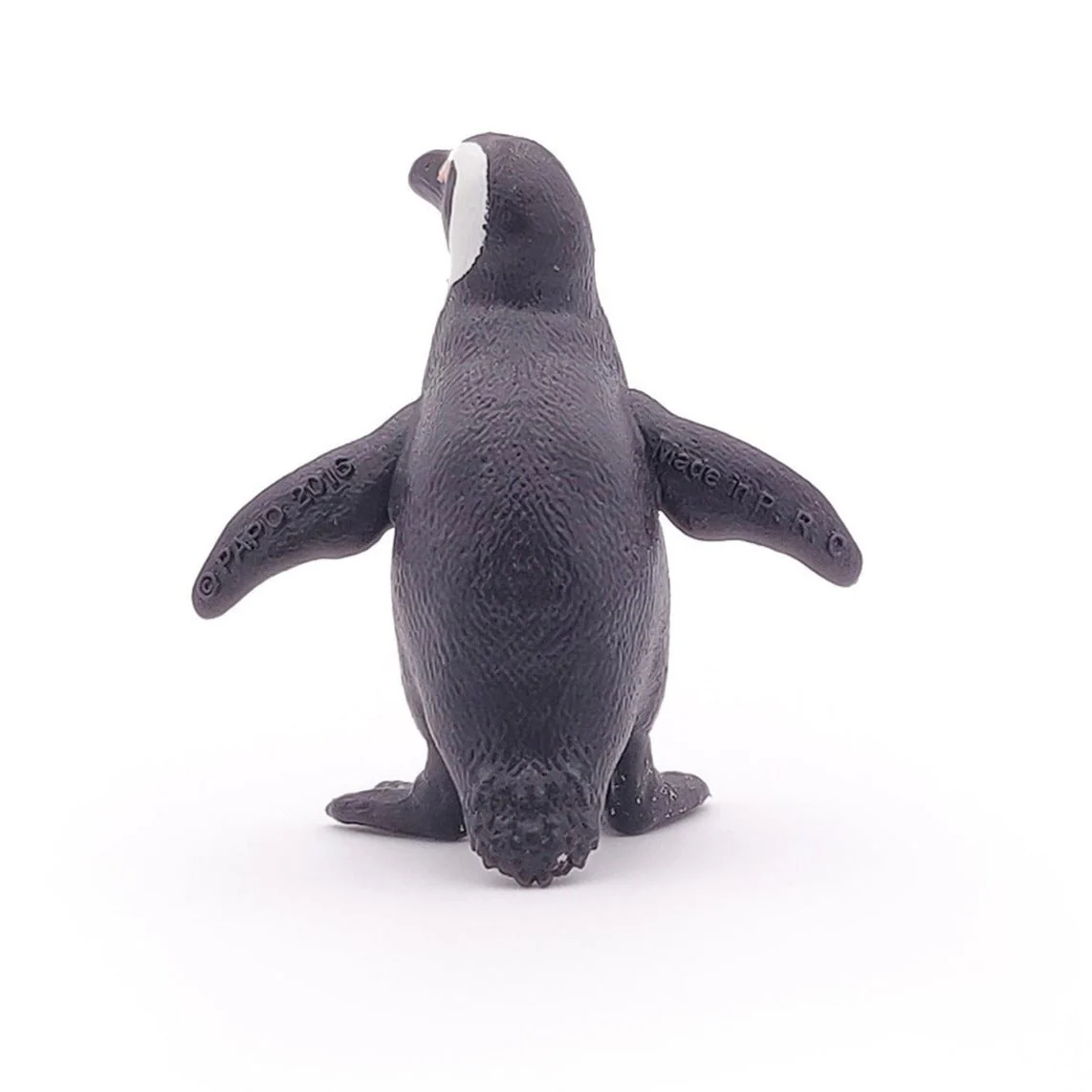 Afrikaanse Pinguin - Image 5