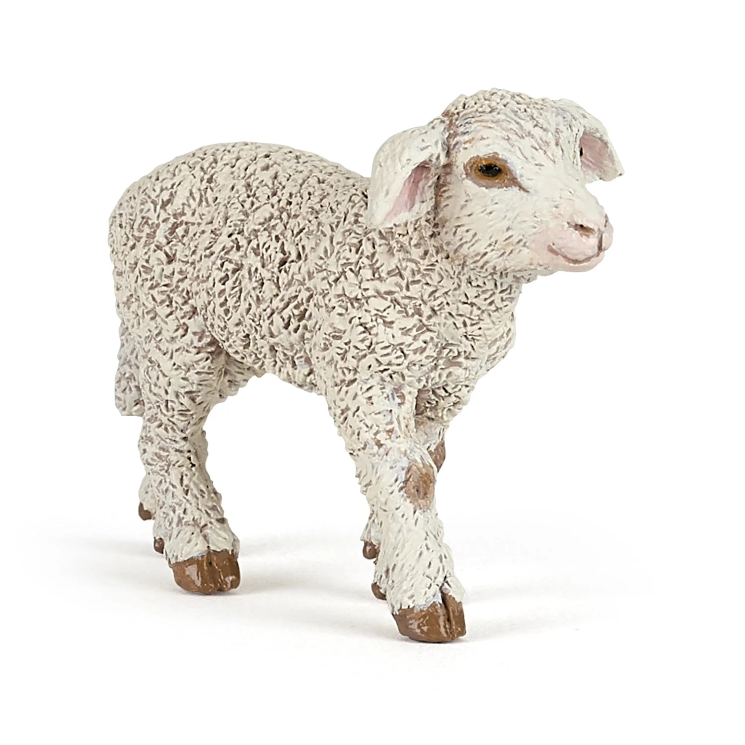 Merino lam