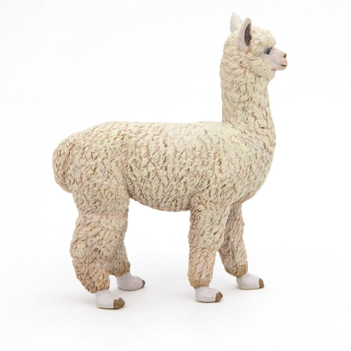 Alpaca - Image 2