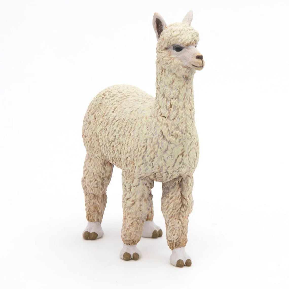 Alpaca - Image 3