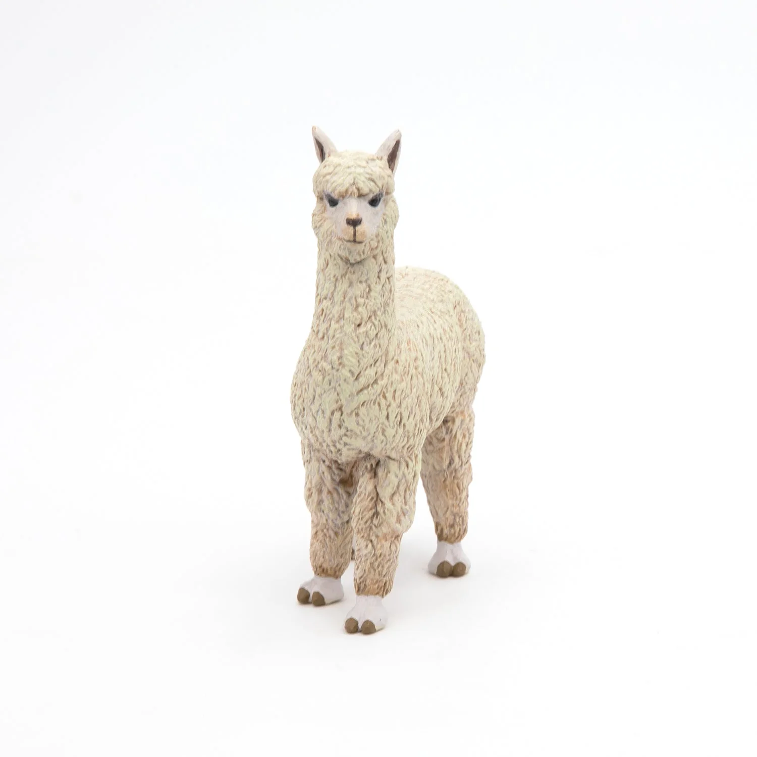 Alpaca - Image 4