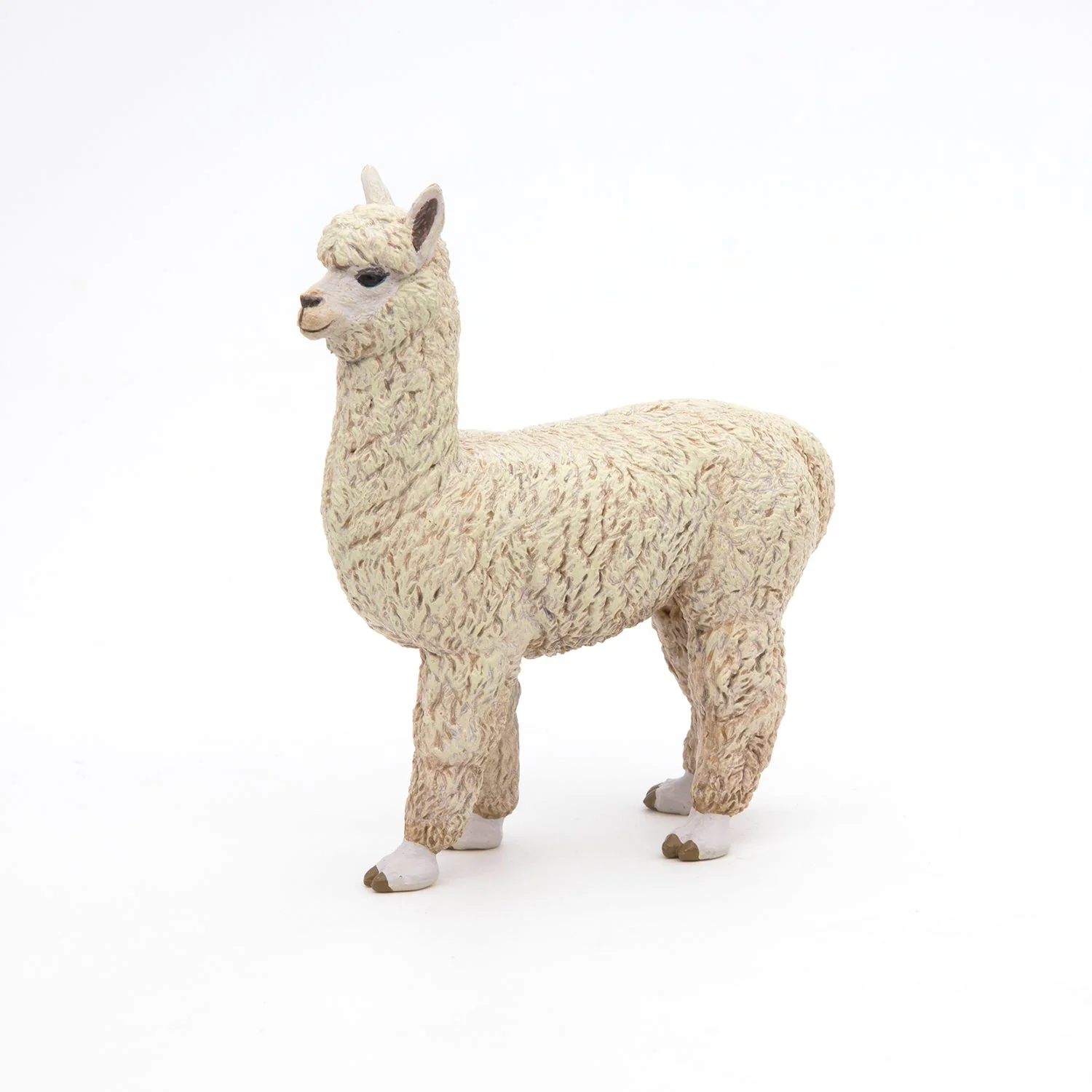 Alpaca - Image 5
