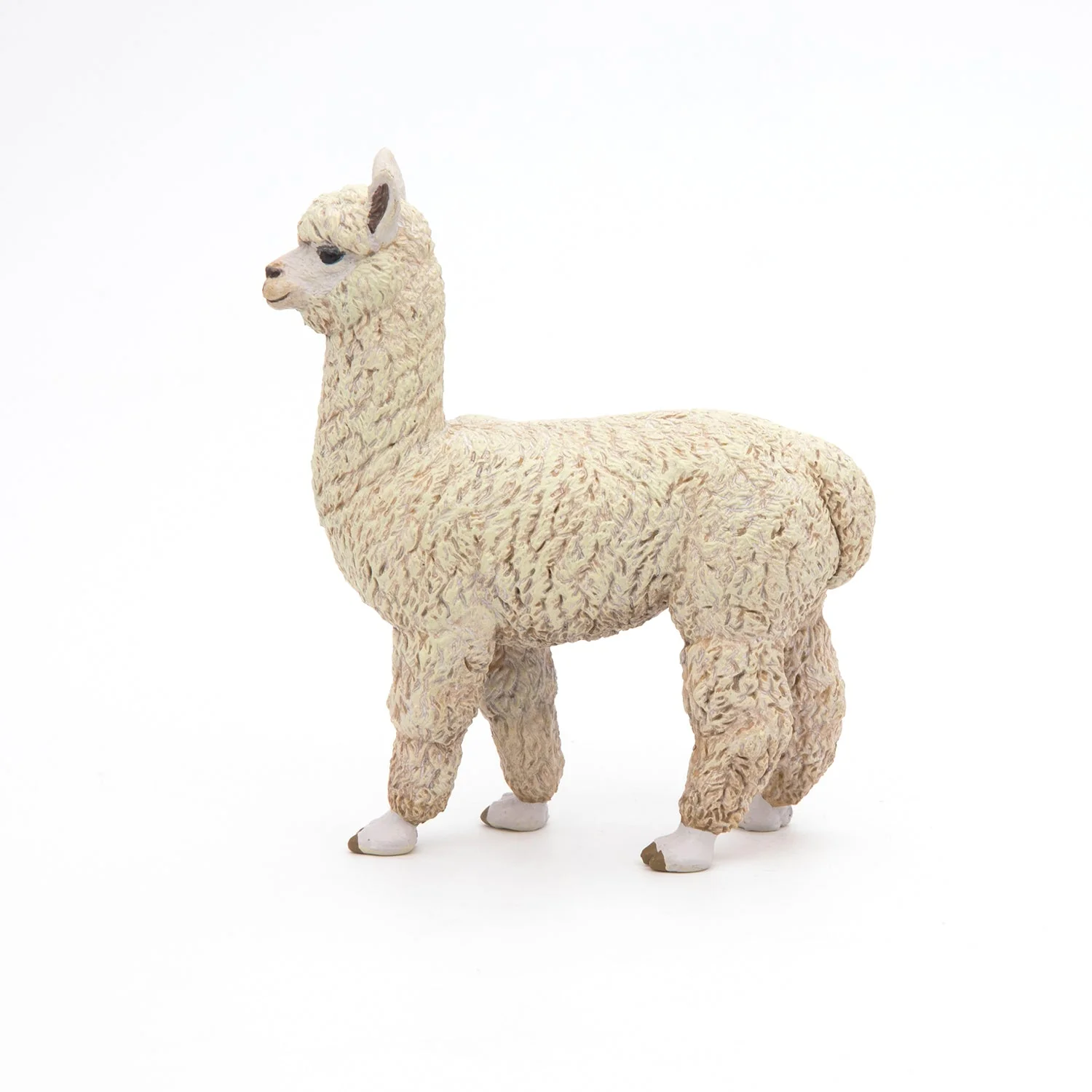 Alpaca - Image 6
