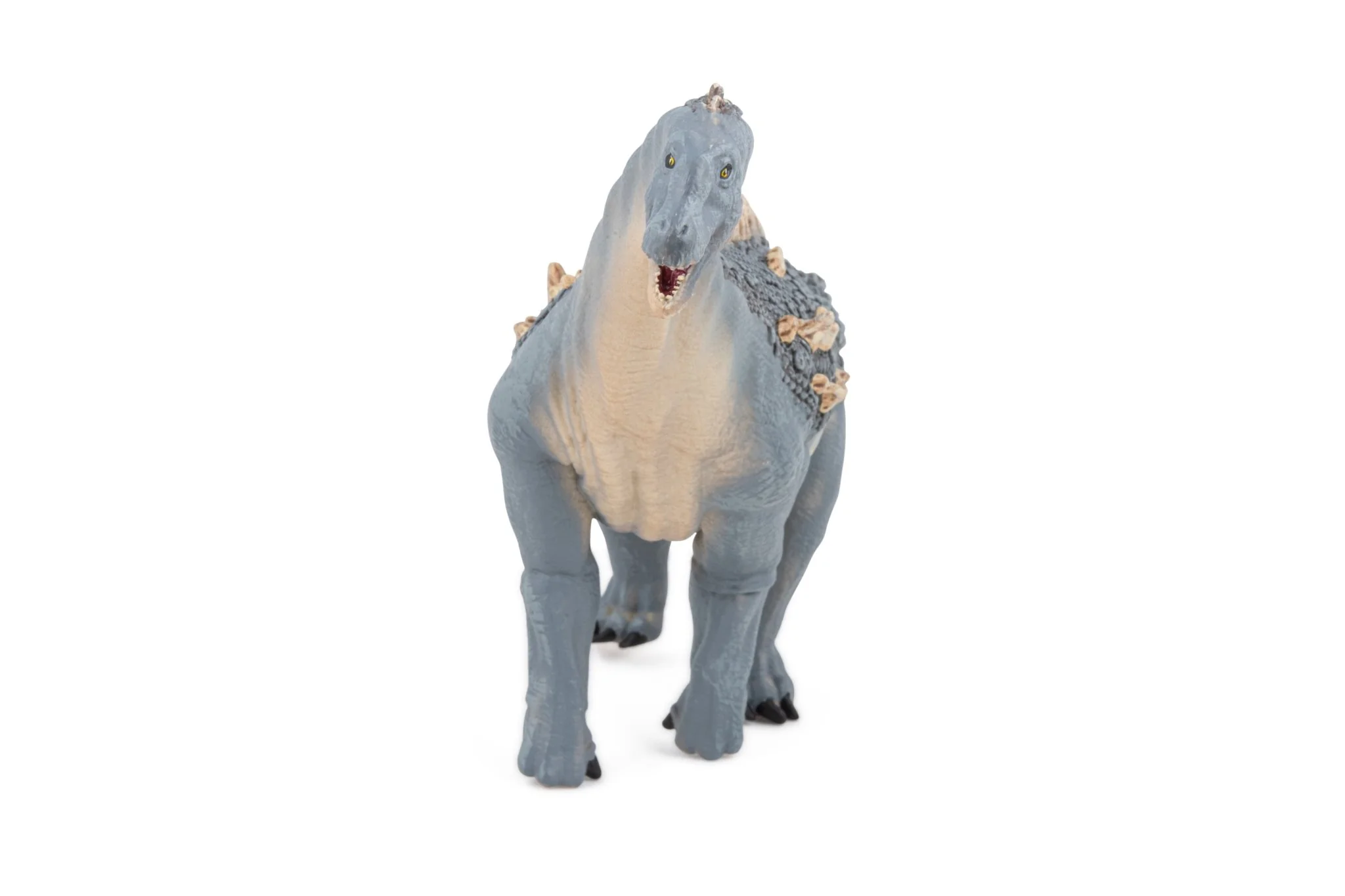 Ampelosaurus - Image 4