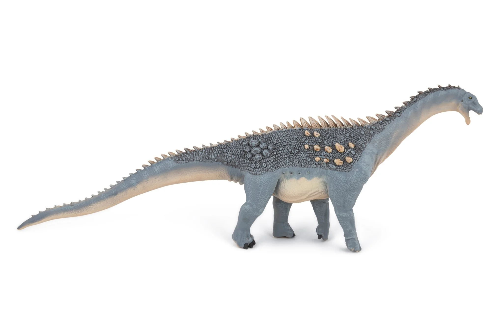 Ampelosaurus - Image 6