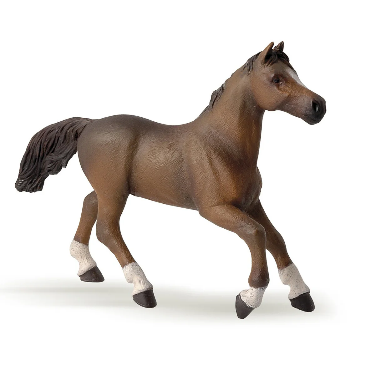 Paard Anglo-Arabier Merrie