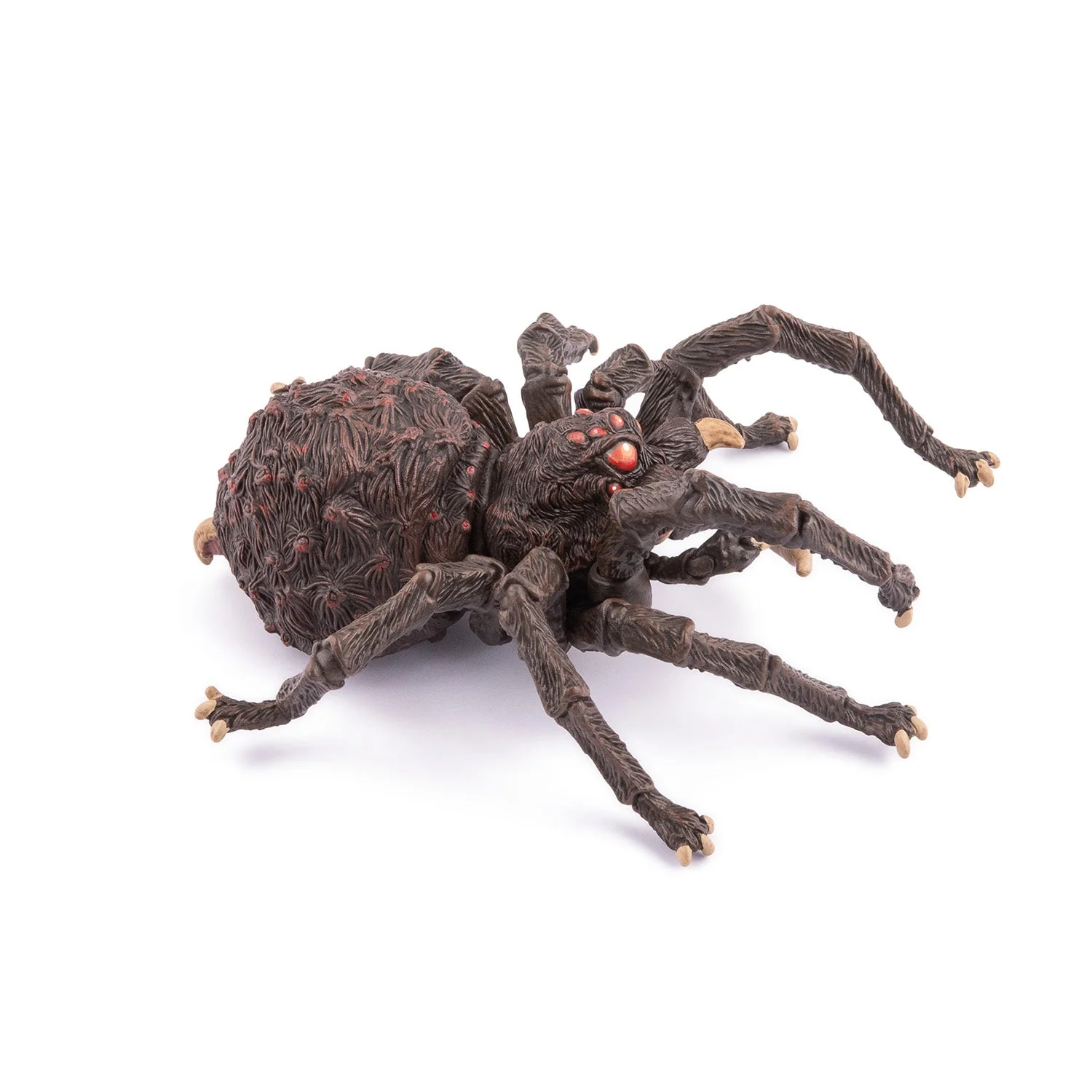 Spin Arachnos - Image 4