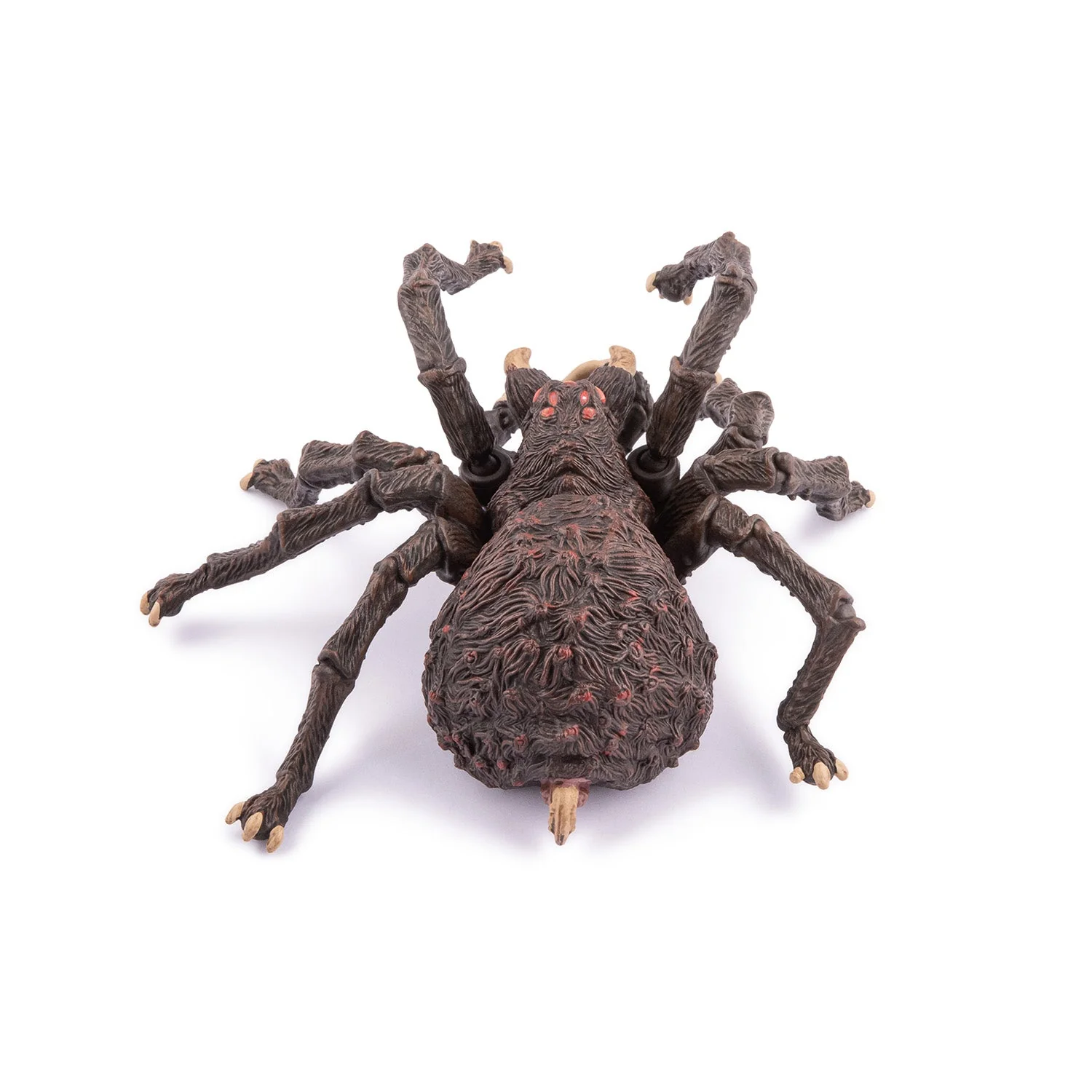 Spin Arachnos - Image 5