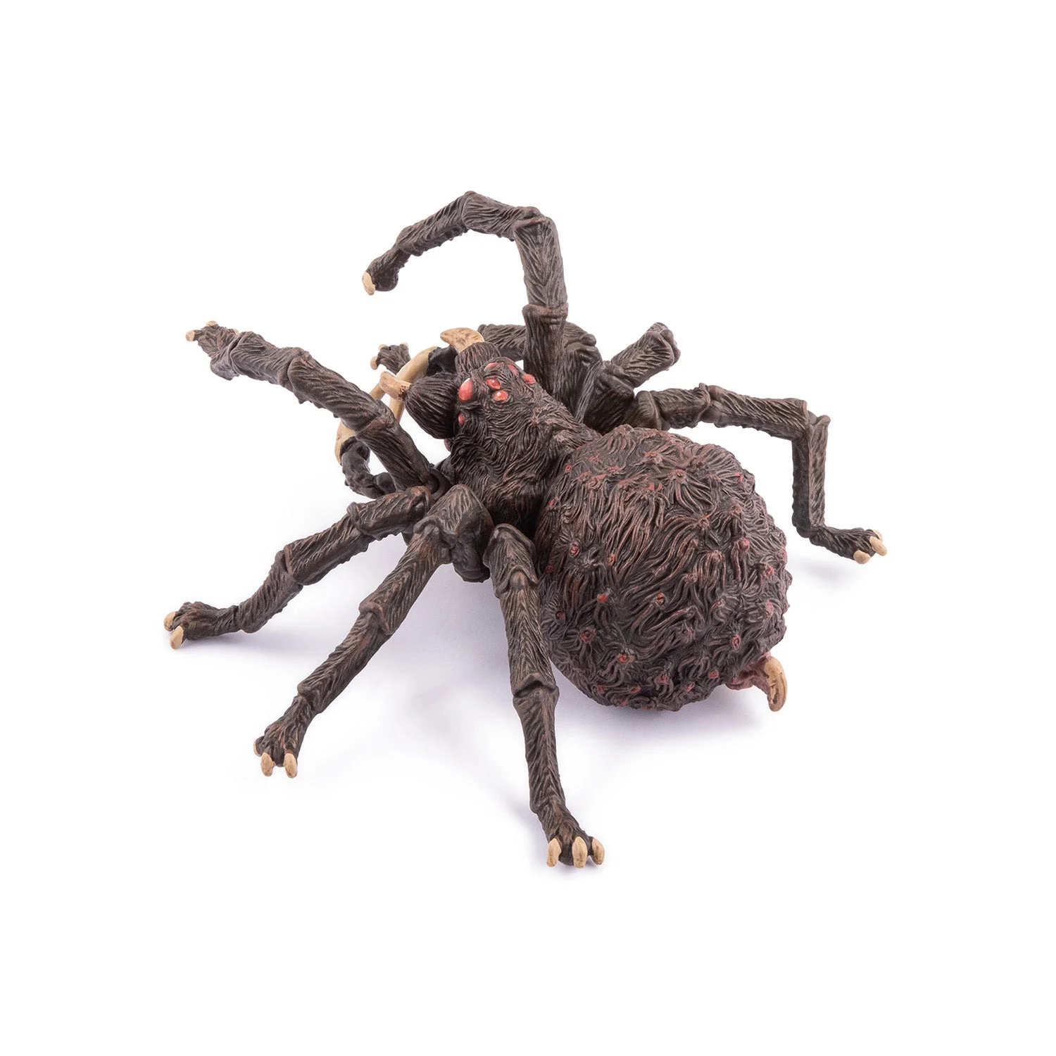 Spin Arachnos - Image 6