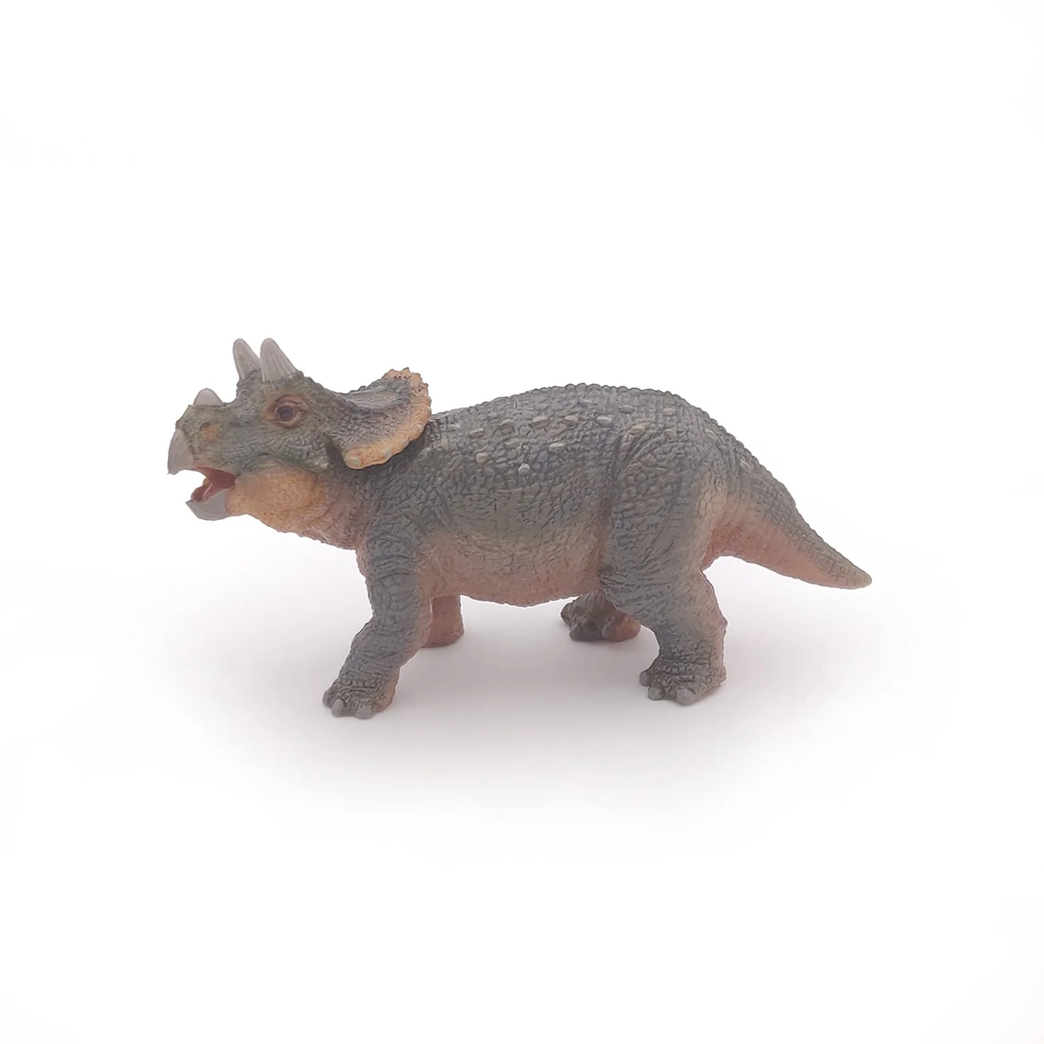 Baby Triceratops - Image 3