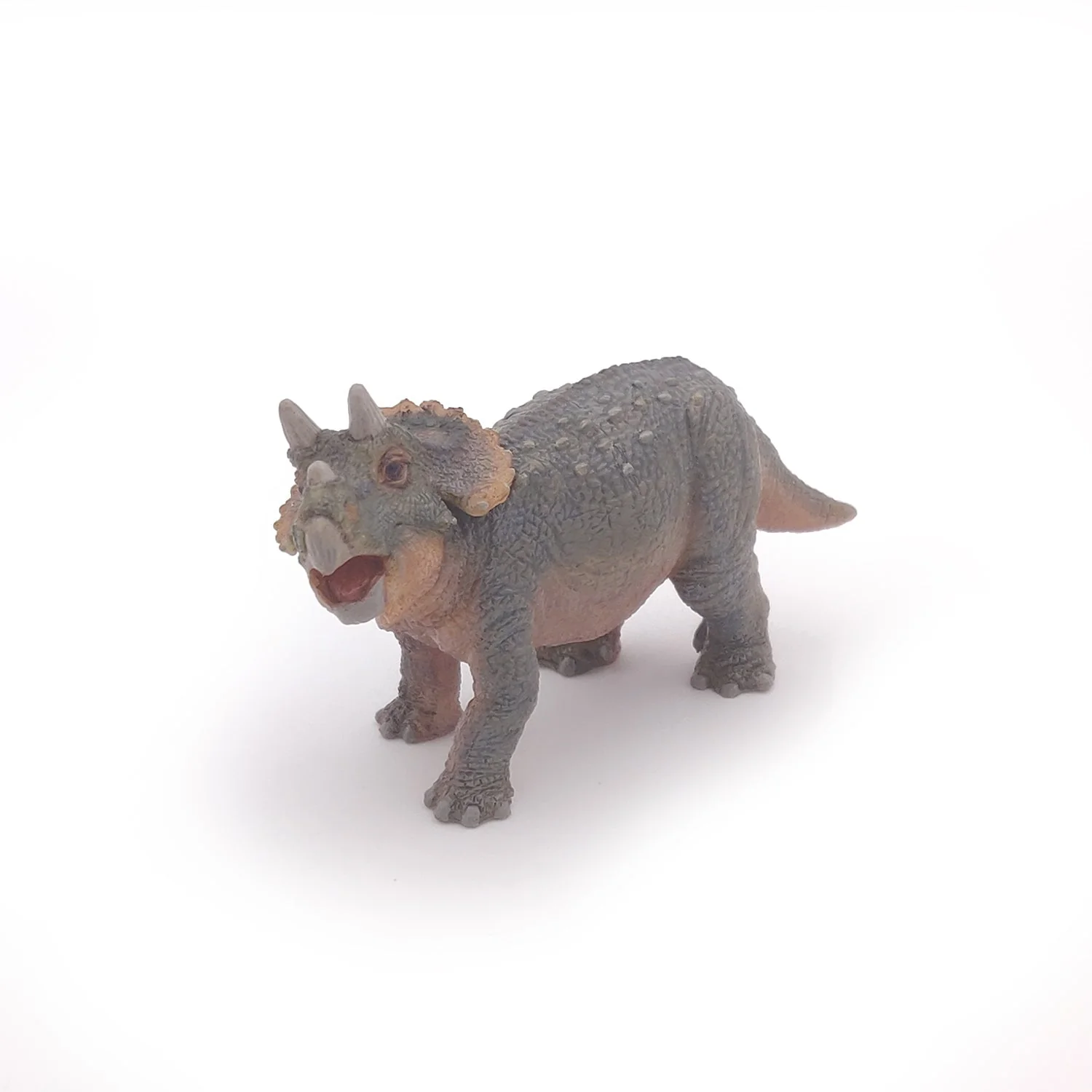 Baby Triceratops - Image 4