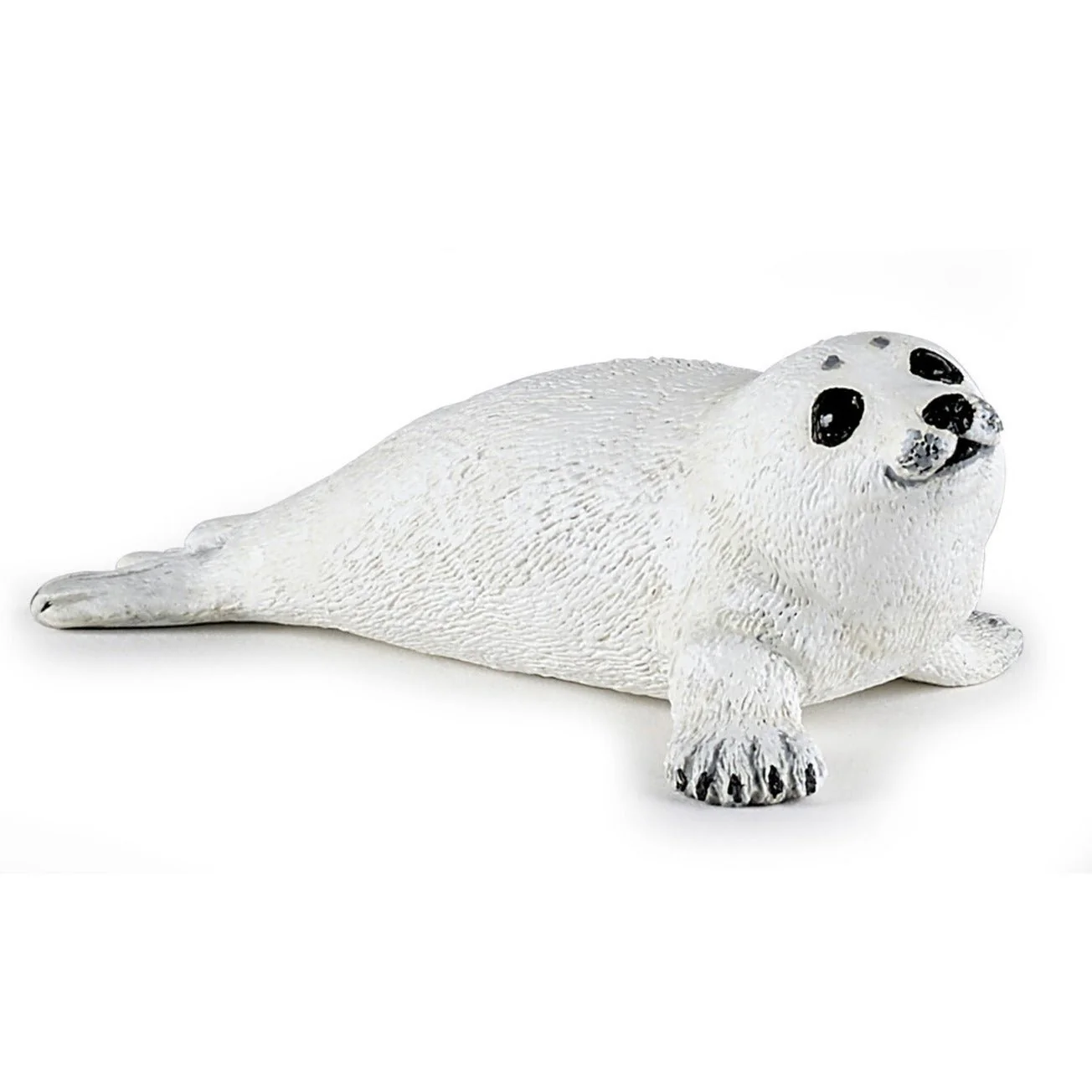 Baby Zeehond
