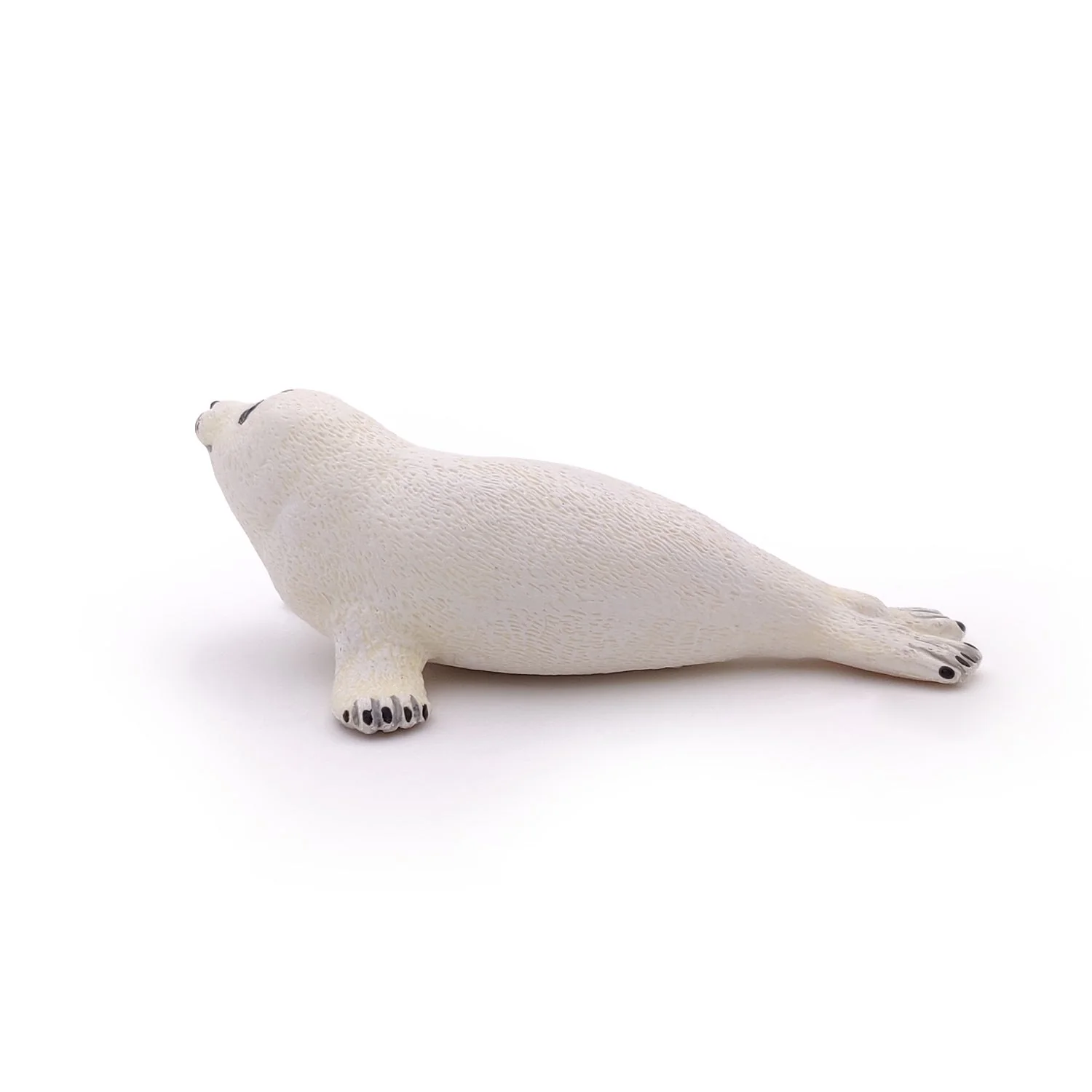 Baby Zeehond - Image 2