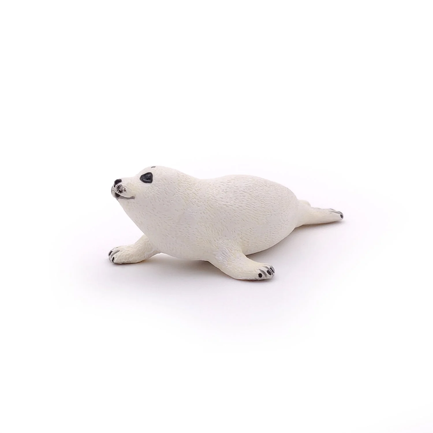 Baby Zeehond - Image 3