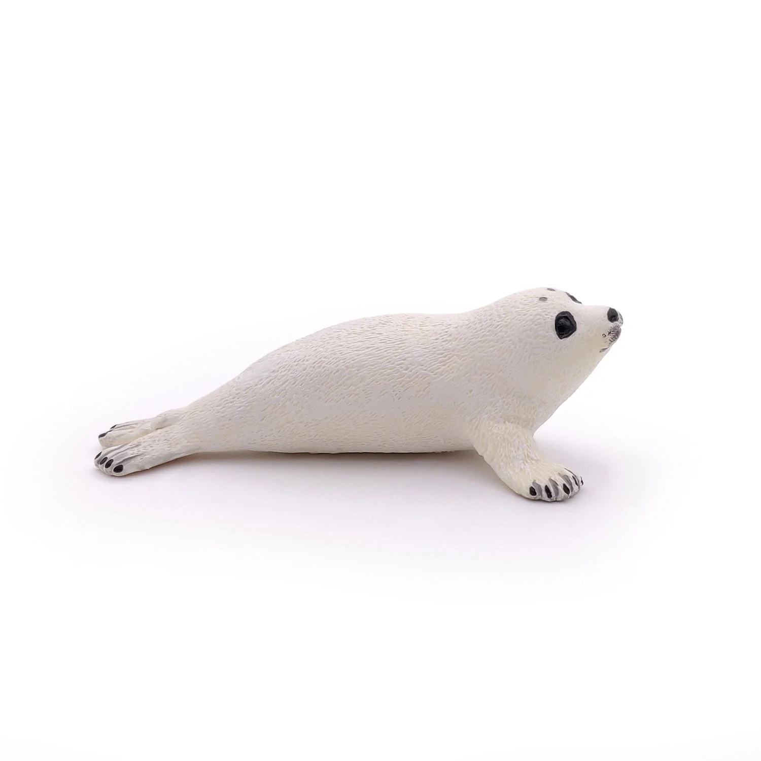 Baby Zeehond - Image 4