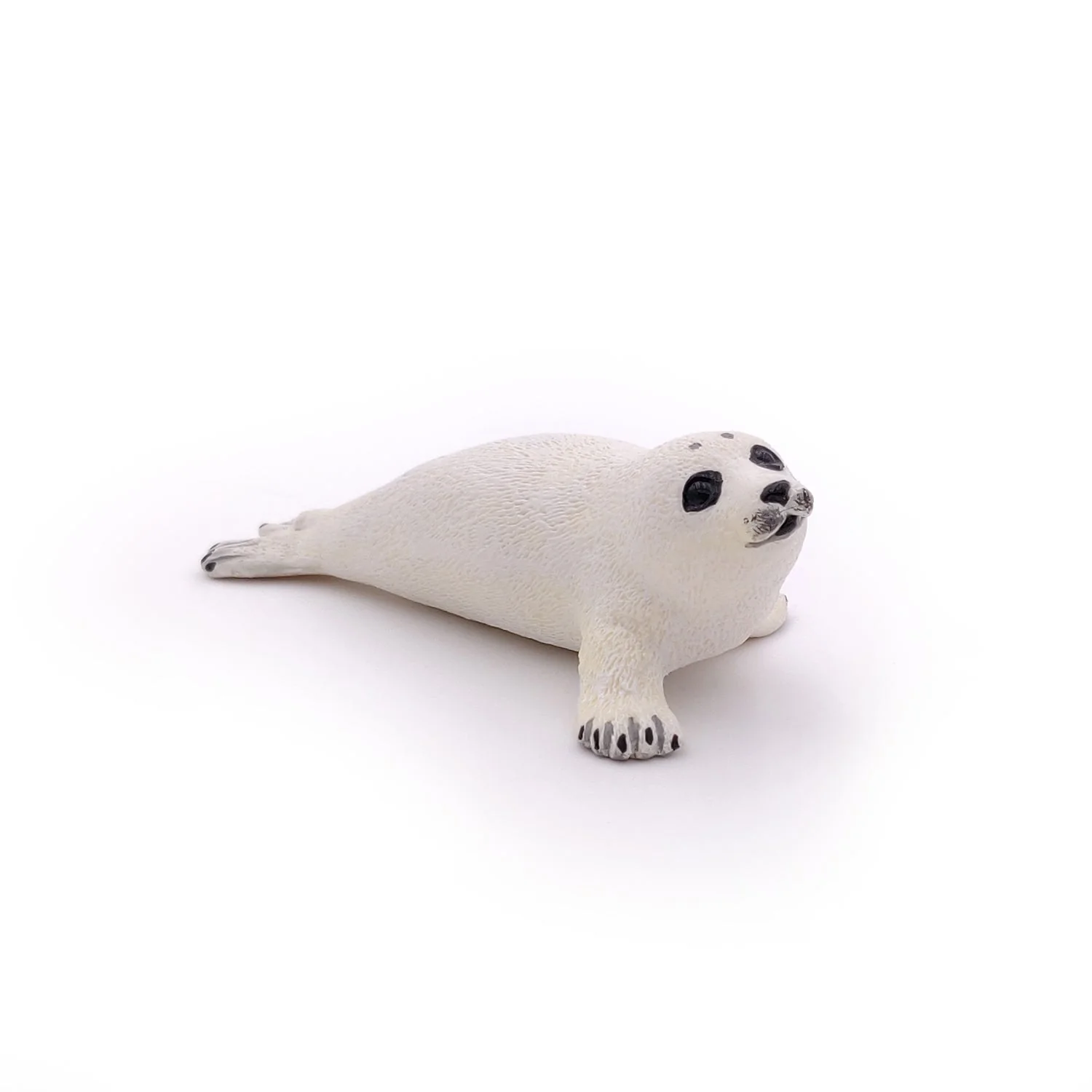Baby Zeehond - Image 5
