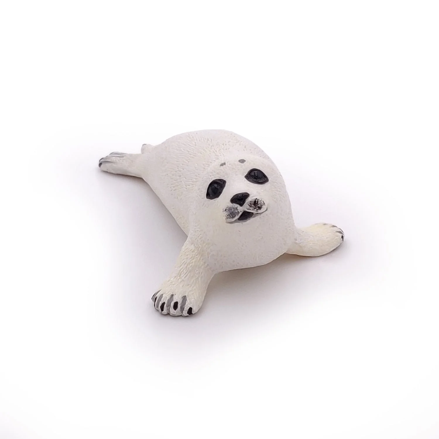 Baby Zeehond - Image 6