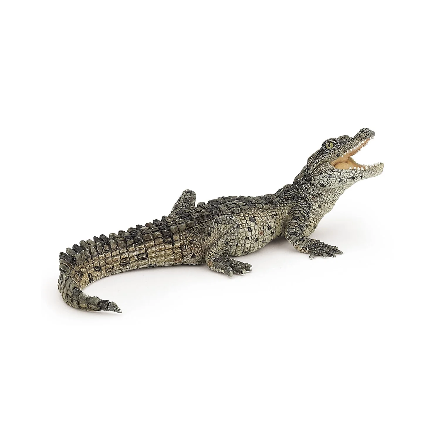 Baby Krokodil