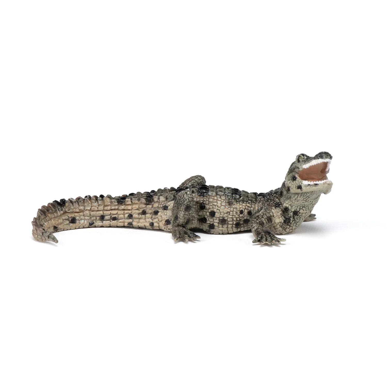 Baby Krokodil - Image 2