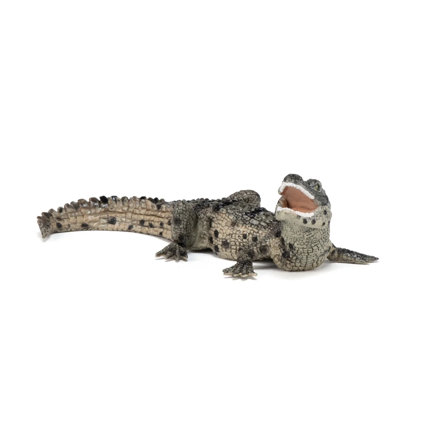 Baby Krokodil - Image 3