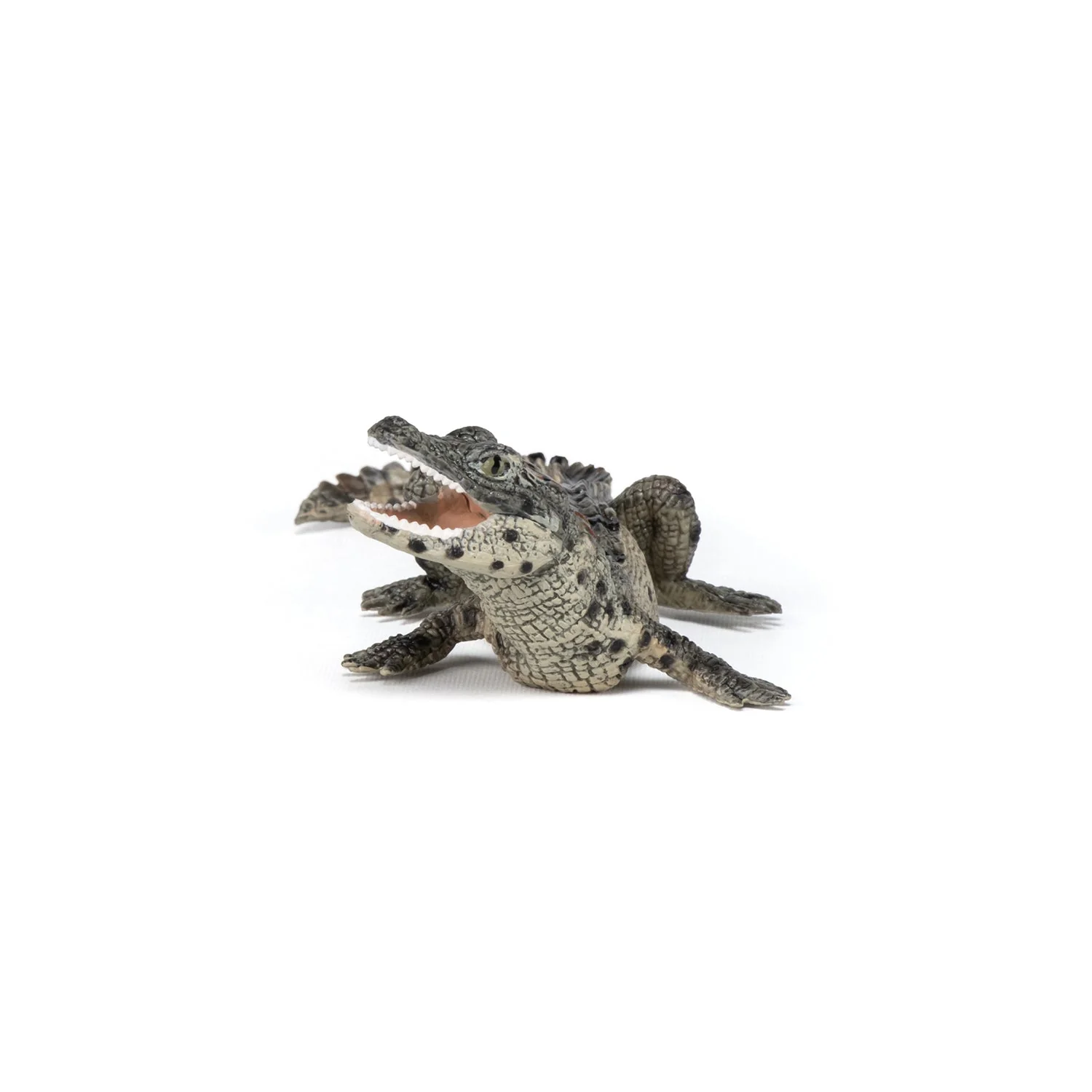 Baby Krokodil - Image 4