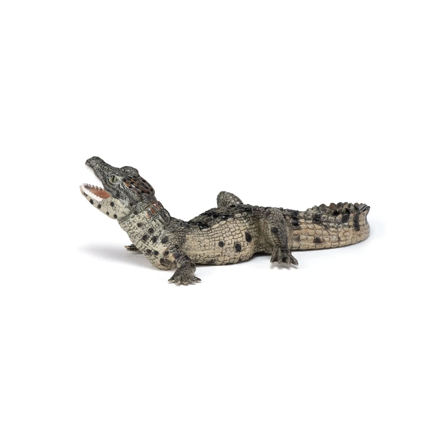 Baby Krokodil - Image 5