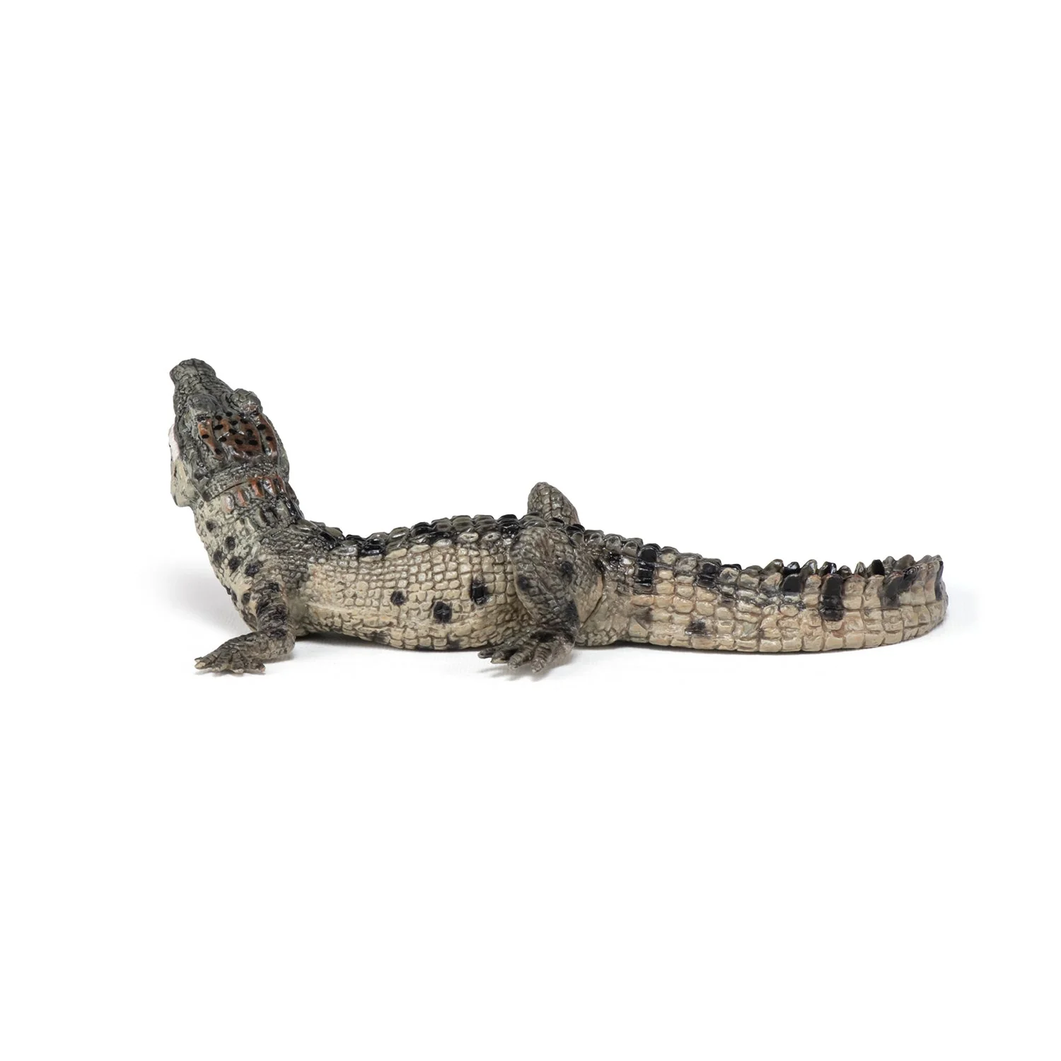 Baby Krokodil - Image 6