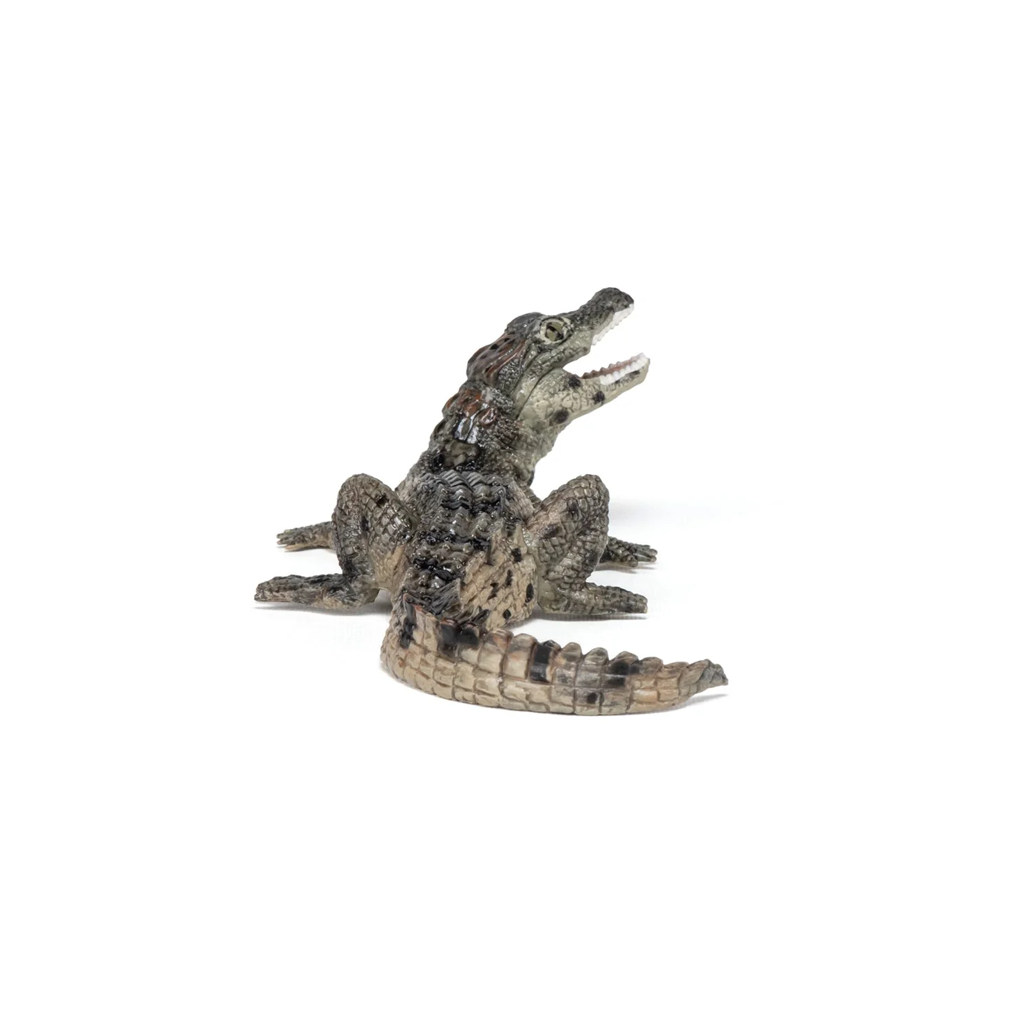 Baby Krokodil - Image 7