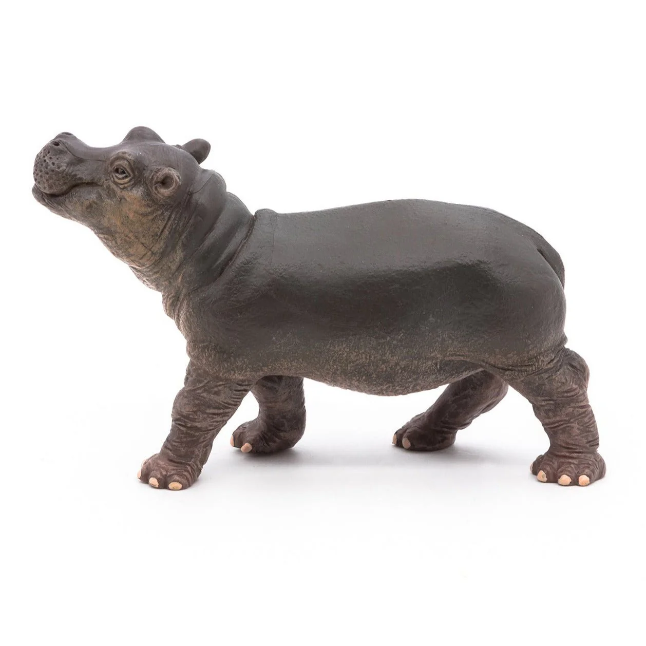 Nijlpaard Baby - Image 2
