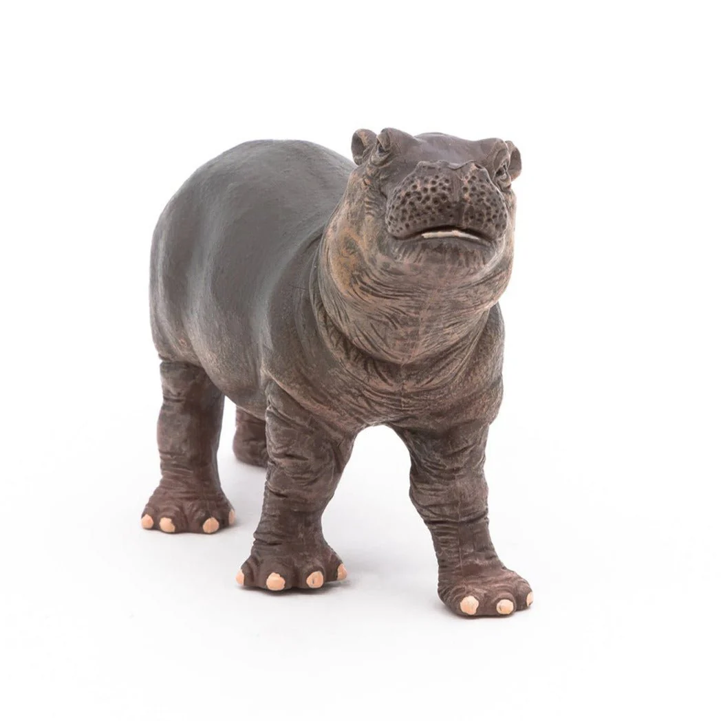 Nijlpaard Baby - Image 4