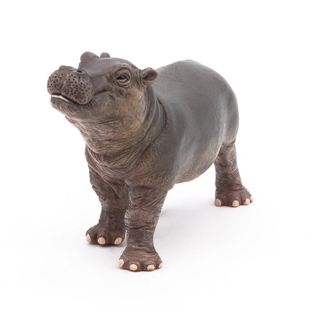 Nijlpaard Baby - Image 5