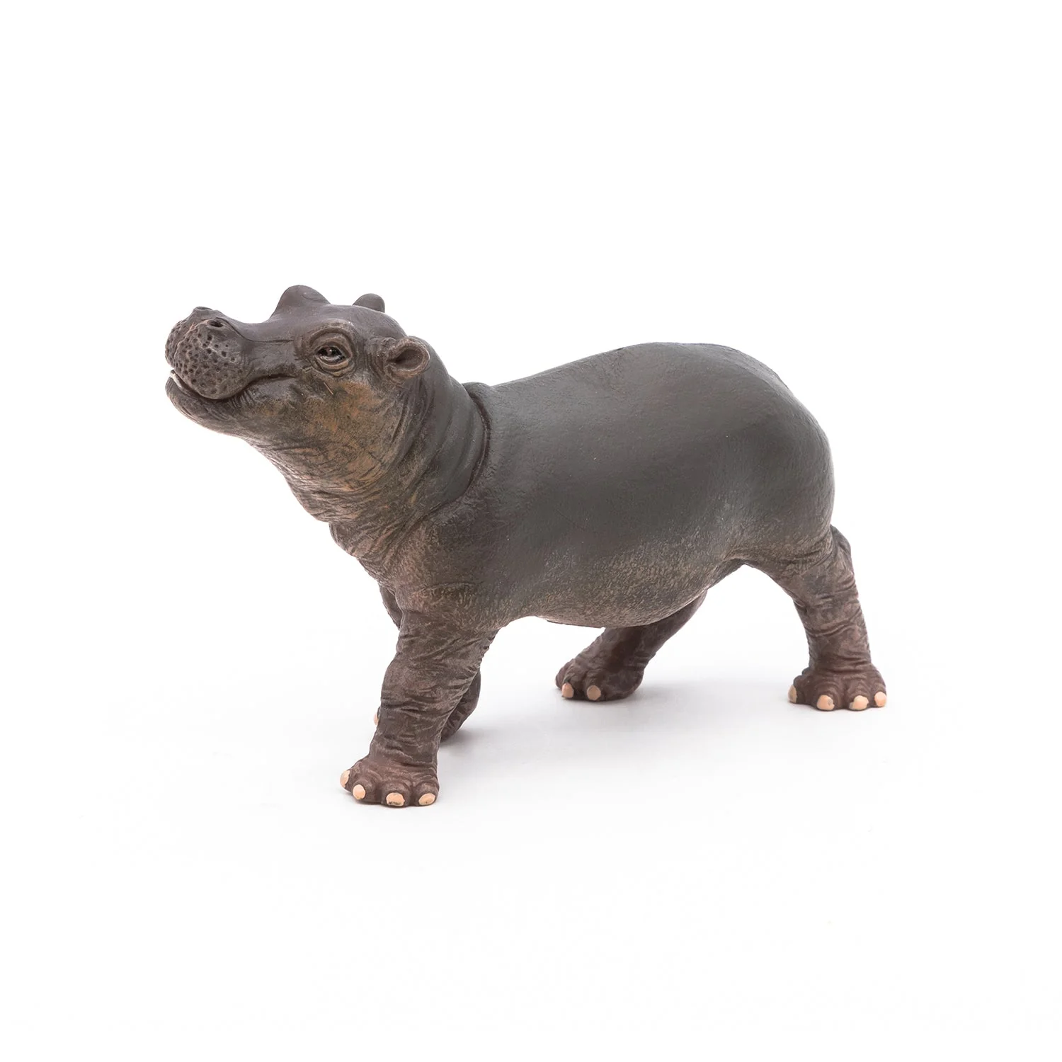 Nijlpaard Baby - Image 6