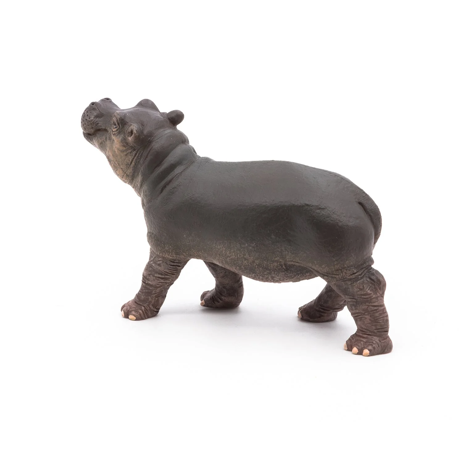 Nijlpaard Baby - Image 7