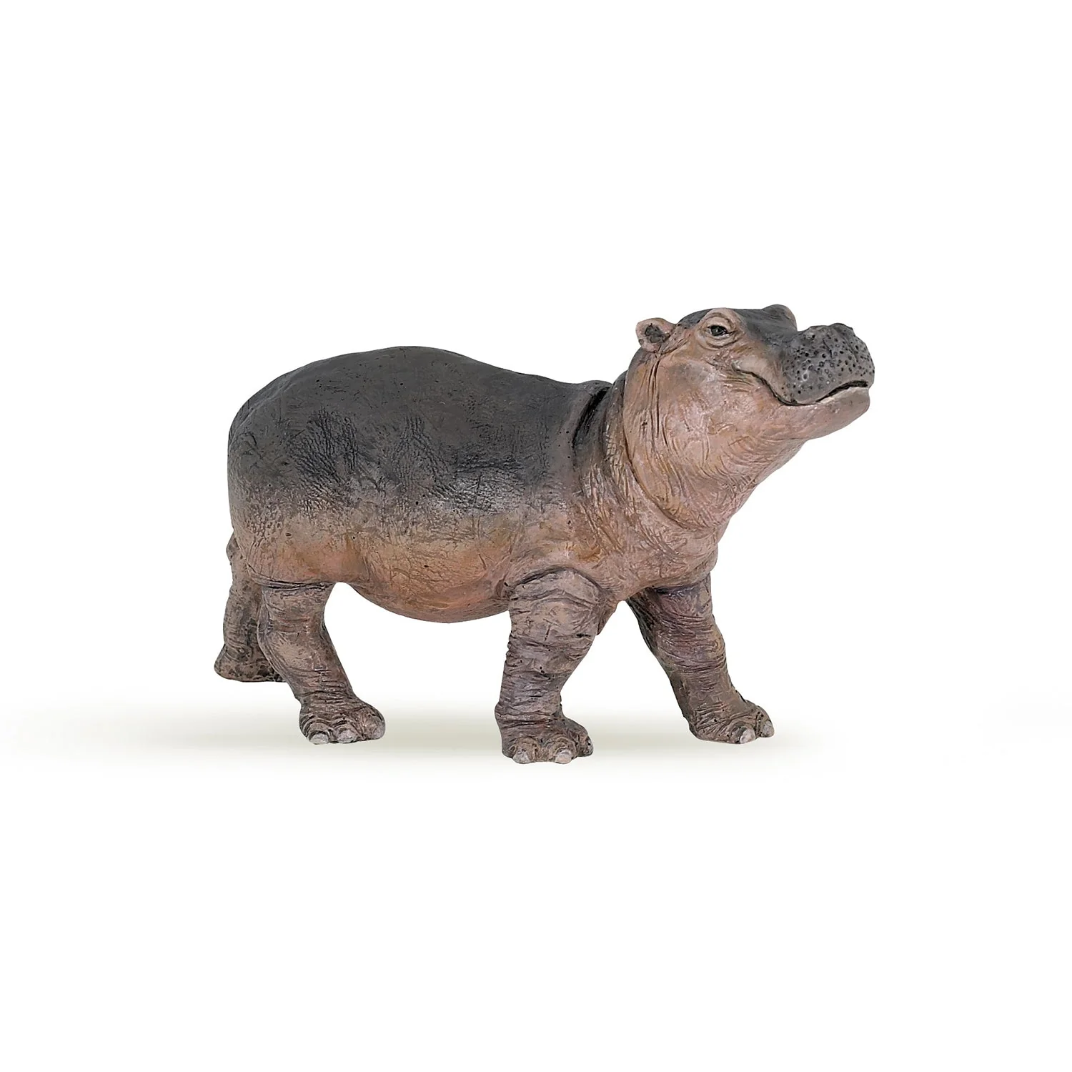 Nijlpaard Baby - Image 8