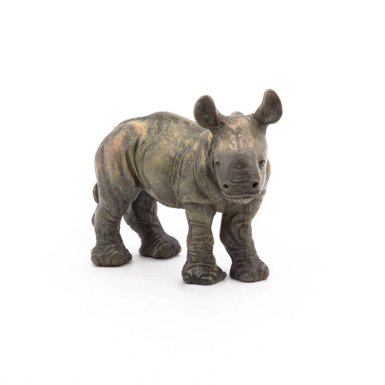 Neushoorn baby - Image 2