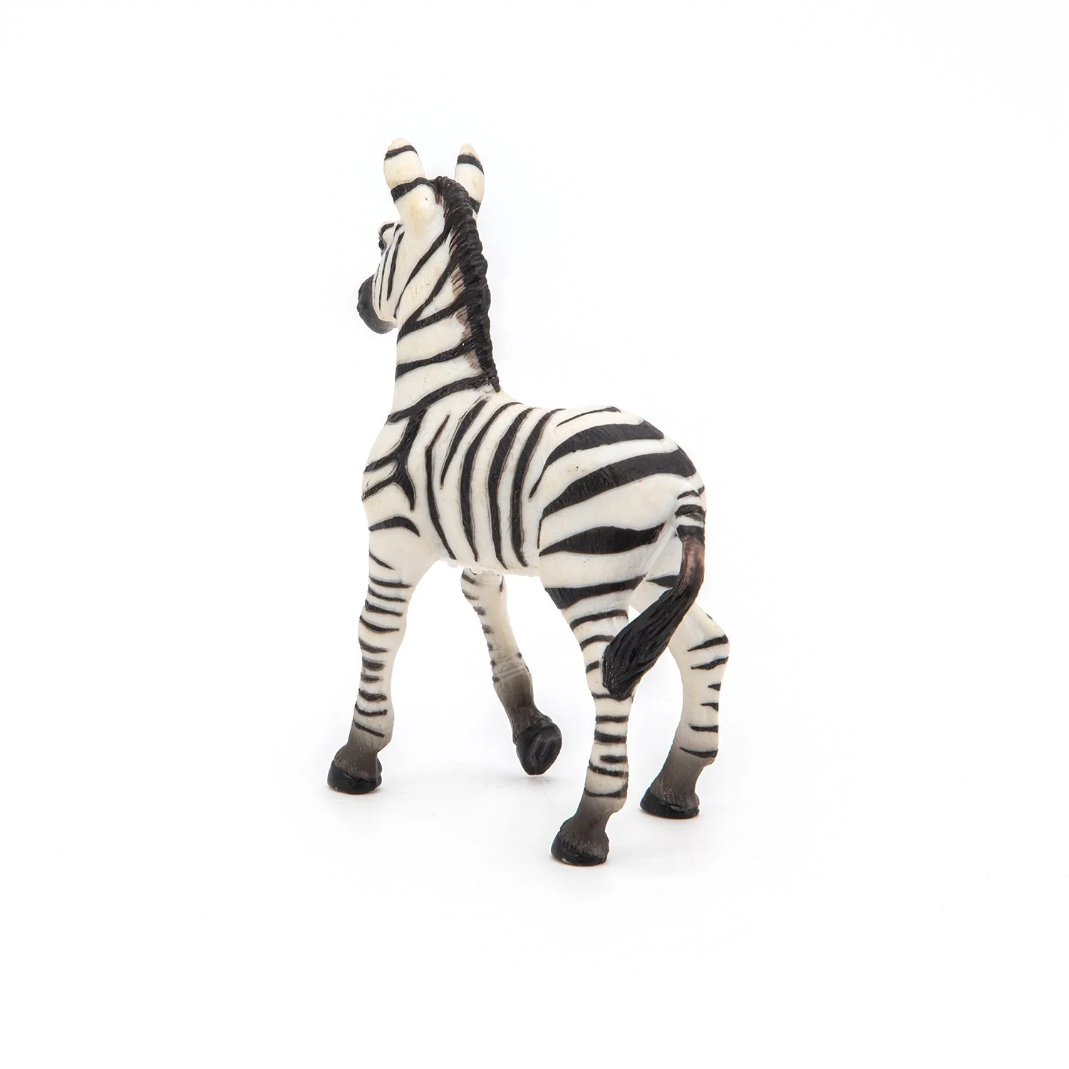 Zebra baby - Image 6