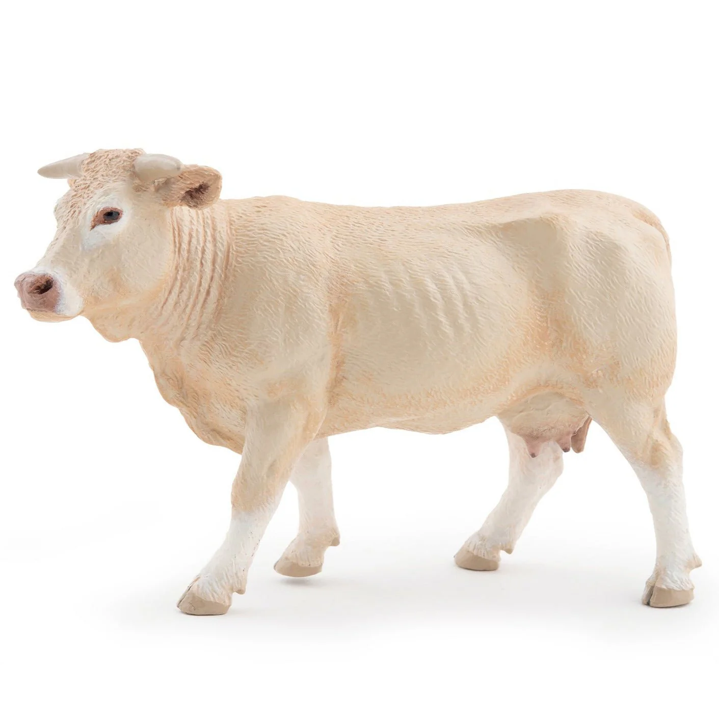 Koe Blonde Uit Aquitaine
