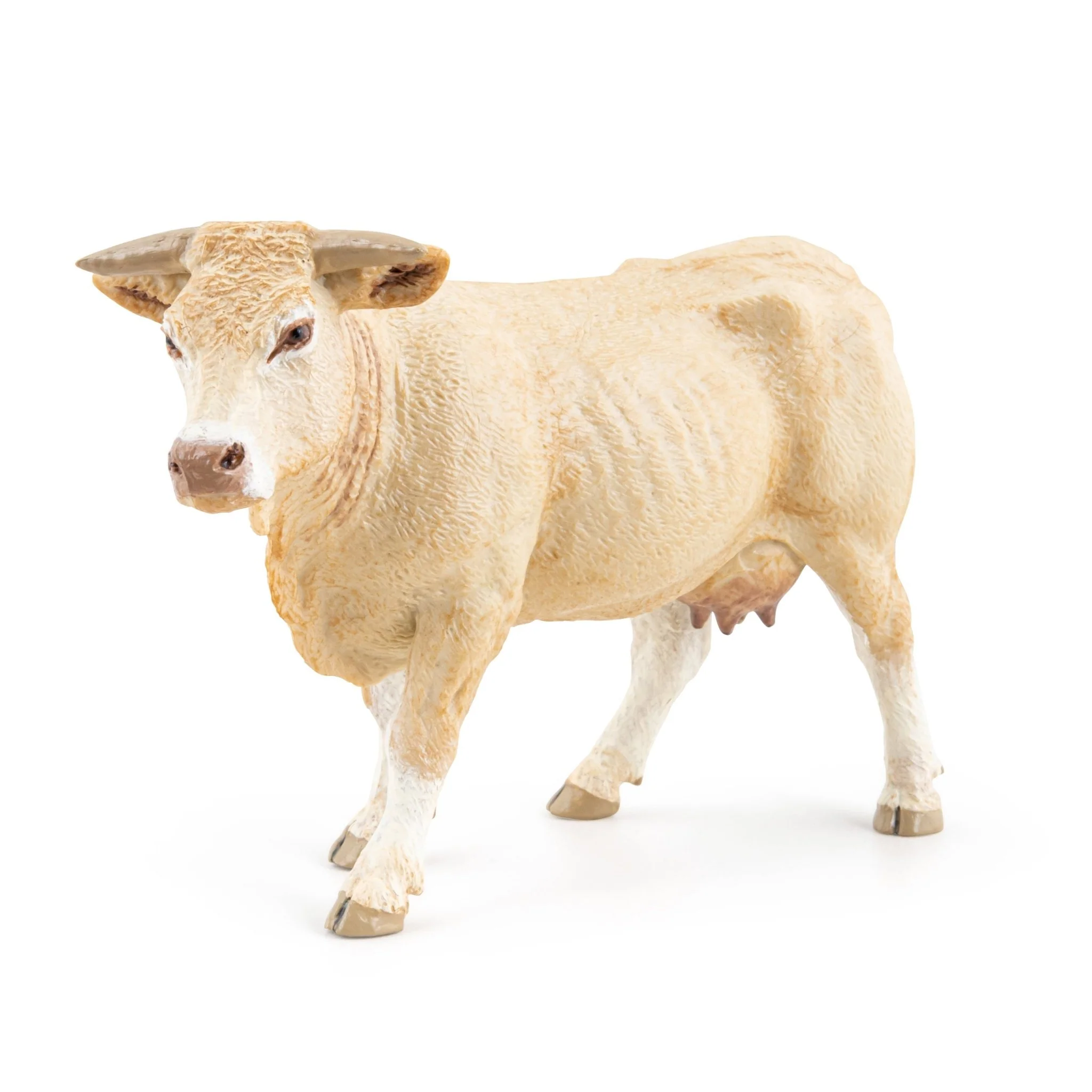 Koe Blonde Uit Aquitaine - Image 2