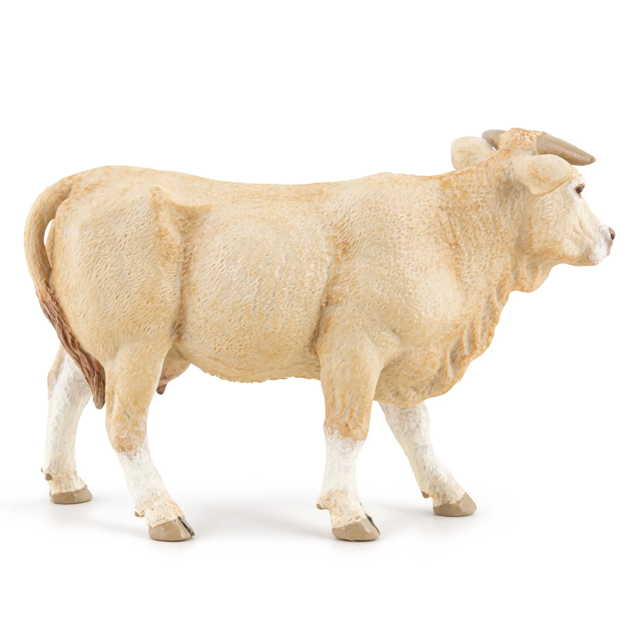 Koe Blonde Uit Aquitaine - Image 5