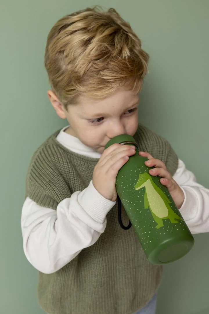 Stalen drinkfles Mr. Alligator - 500 ml - Image 4